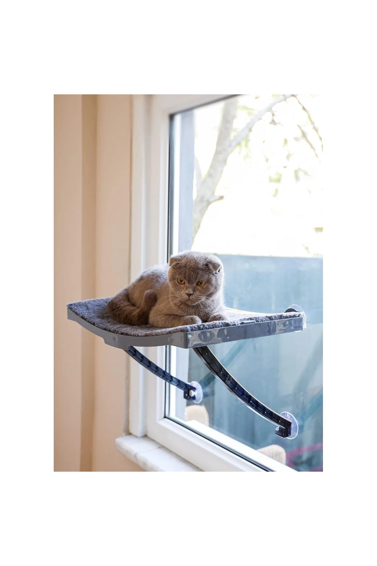 Yeni Model Cam Ve Duvar İçin Kedi Yatağı Vantuzlu