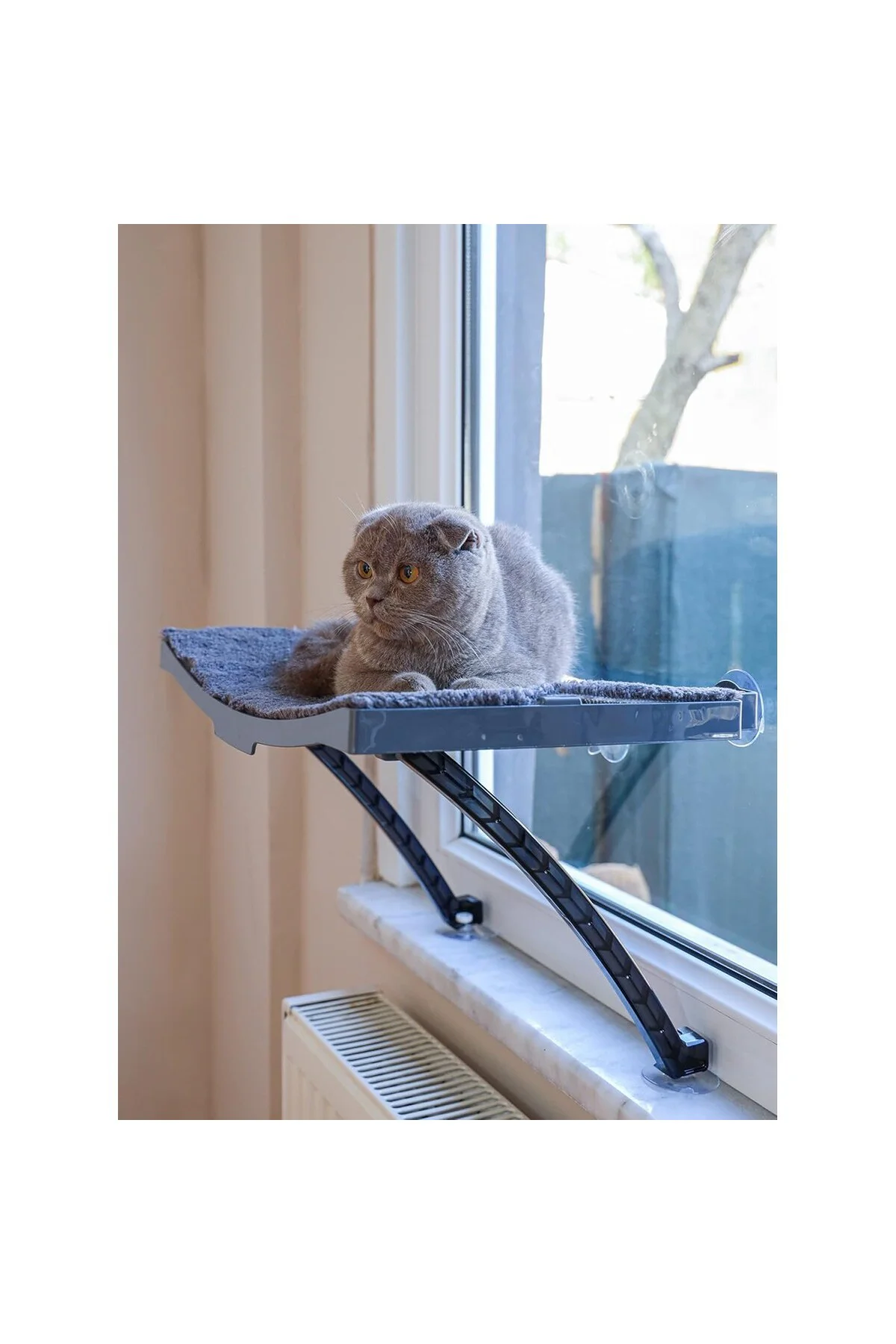 Yeni Model Cam Ve Duvar İçin Kedi Yatağı Vantuzlu