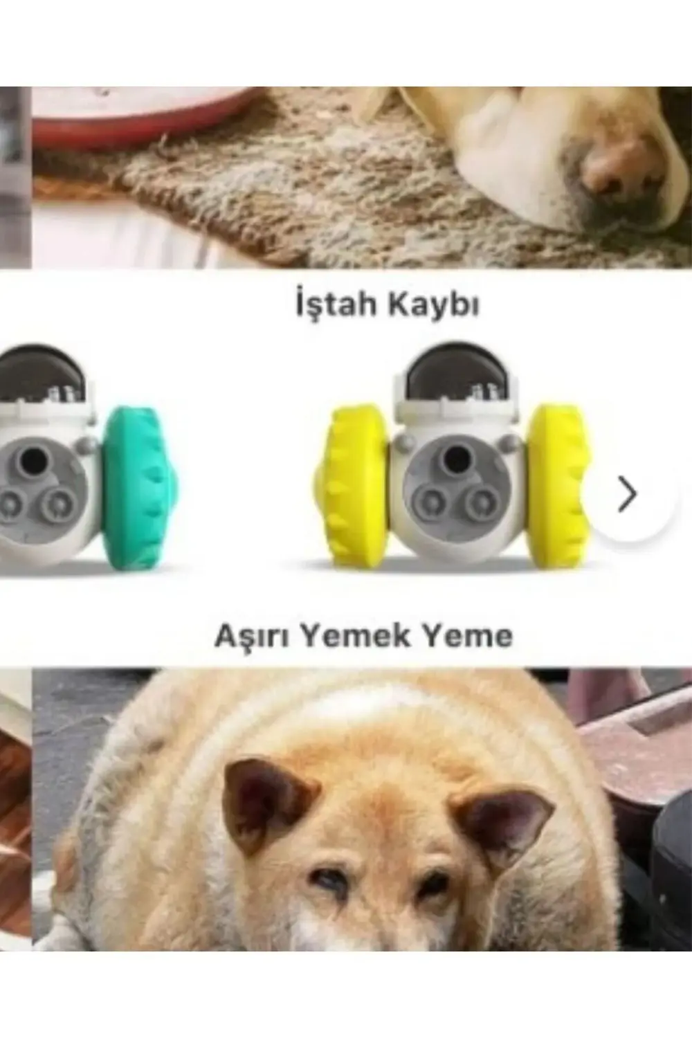 Yeni Nesil Kedi ve Köpek İnteraktif Mama Dağıtıcı Ödül Maması Atı