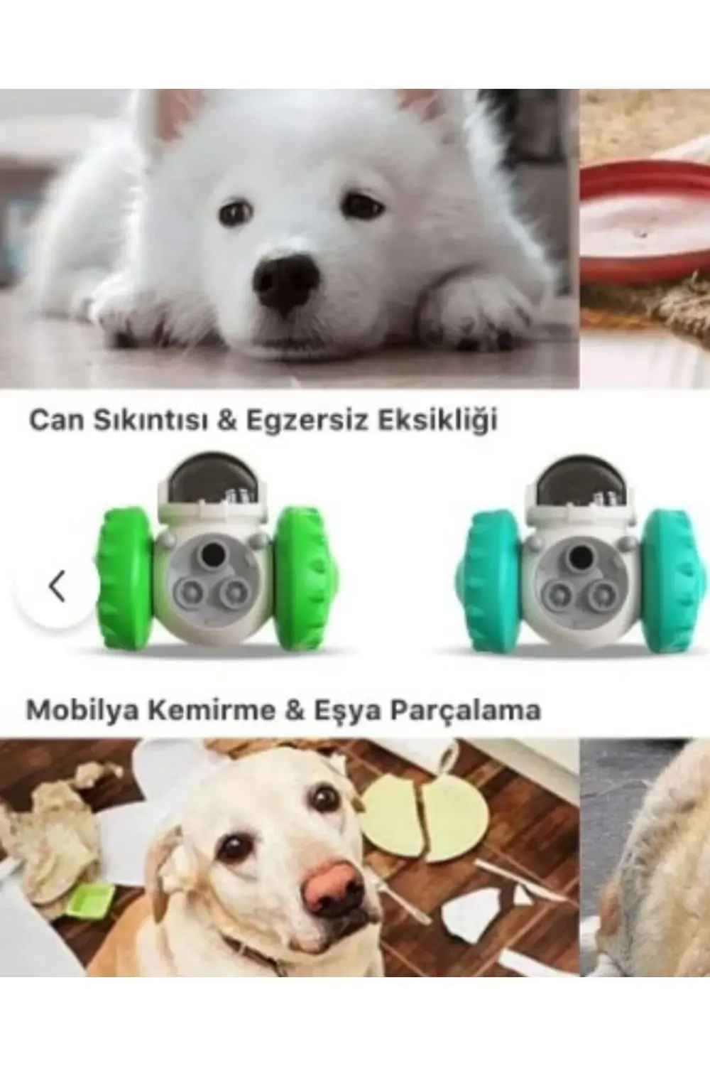 Yeni Nesil Kedi ve Köpek İnteraktif Mama Dağıtıcı Ödül Maması Atı
