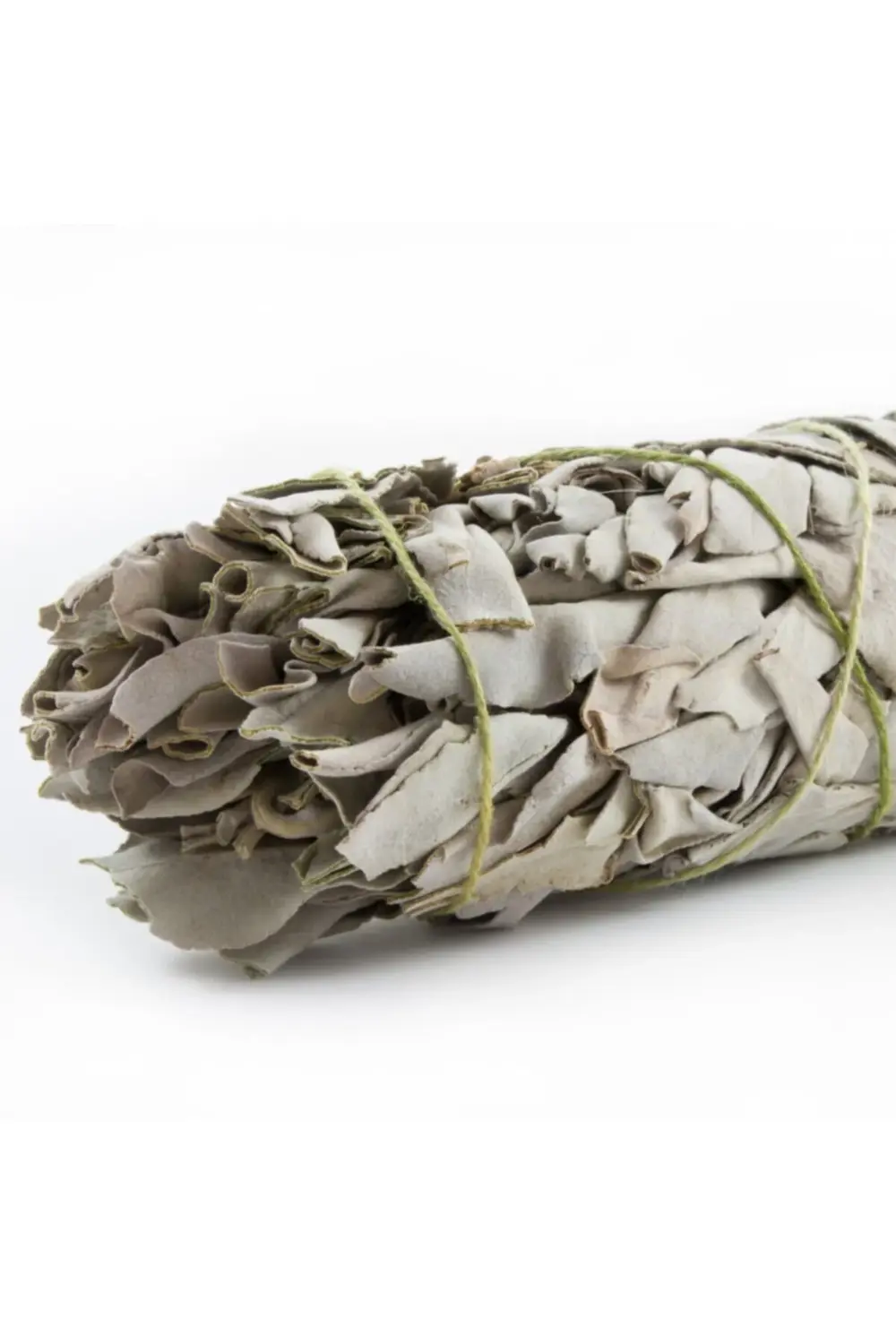 Yeni Sezon Adaçayı 2 Bağ