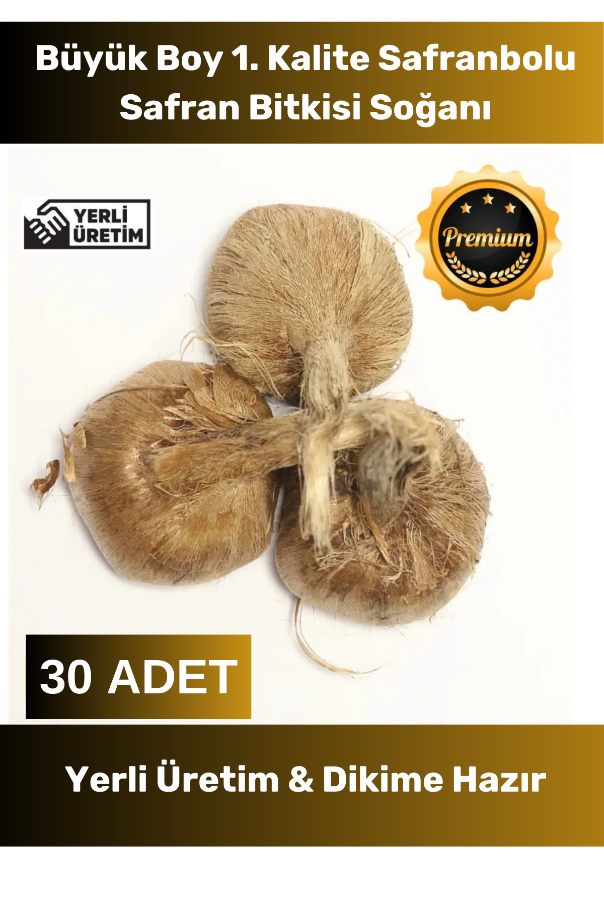 Fernanda Yeni Sezon Yerli Üretim Dikime Hazır Büyük Boy 1. Kalite Safranbo