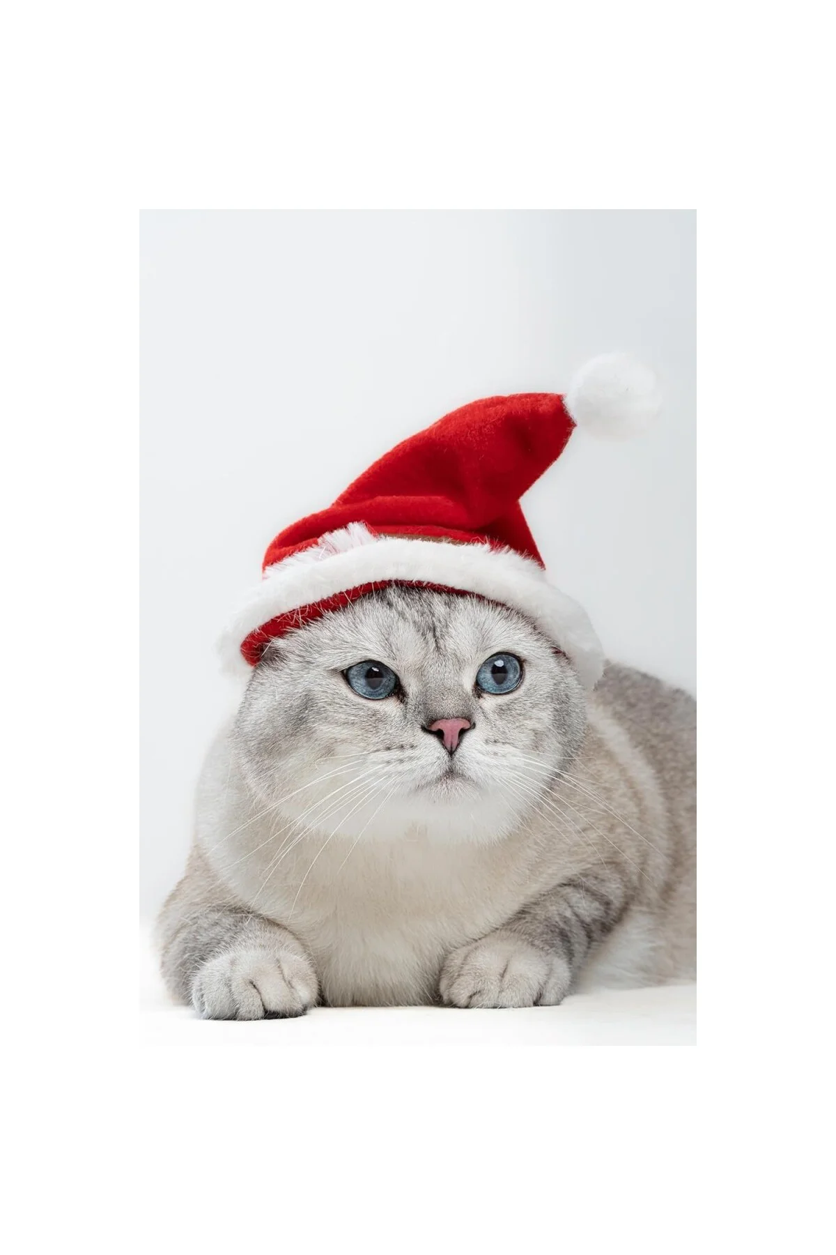 Yeni Yıl Kedi Şapkası Lastikli Yılbaşı Şapkası Yetişkin Kedi (Yetişkin)