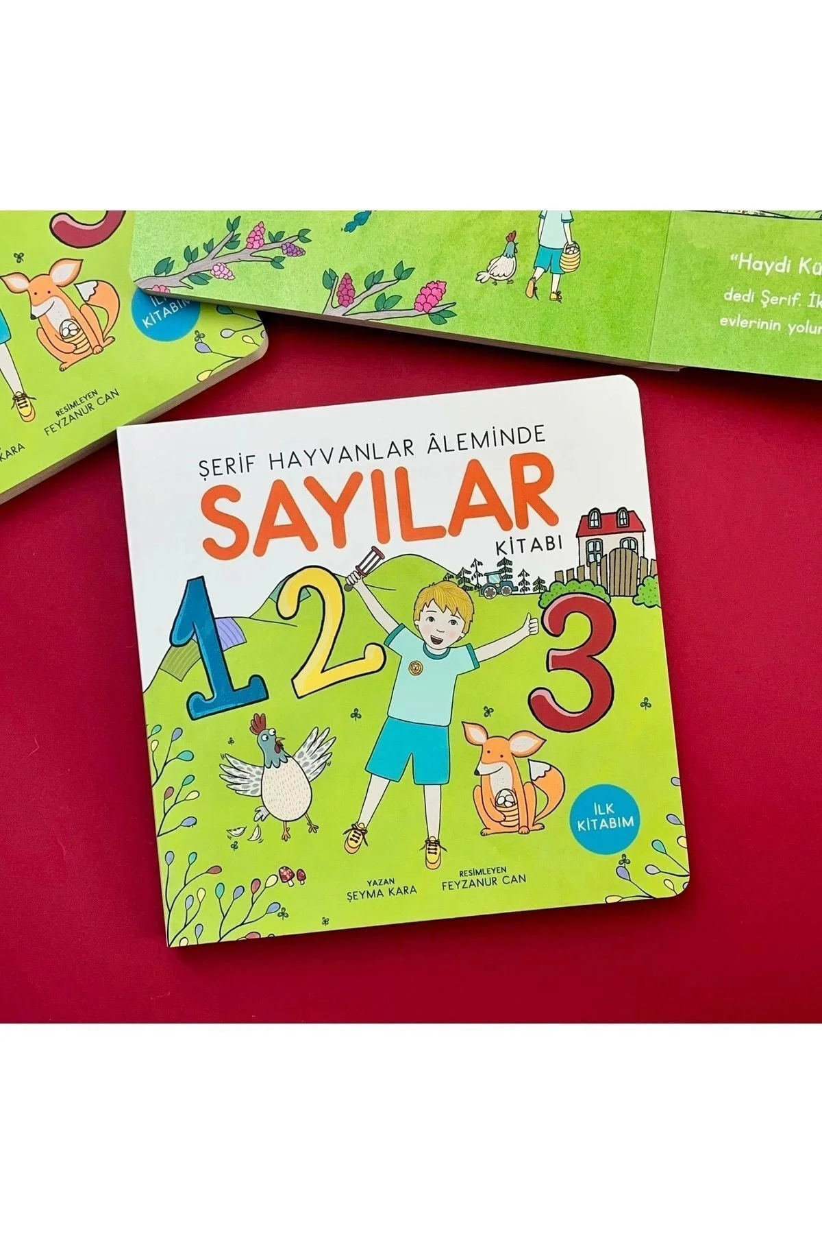Yenilenmiş Sayılar Kitabı Şerif Hayvanlar Aleminde
