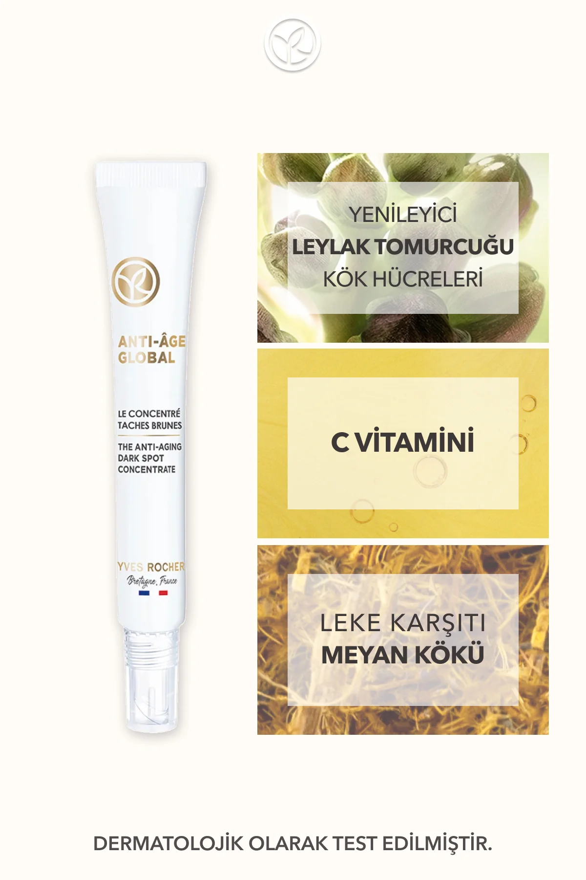 Yenileyici Leke ve Yaşlanma Karşıtı Bitkisel Kök Hücre Bakımı Ant