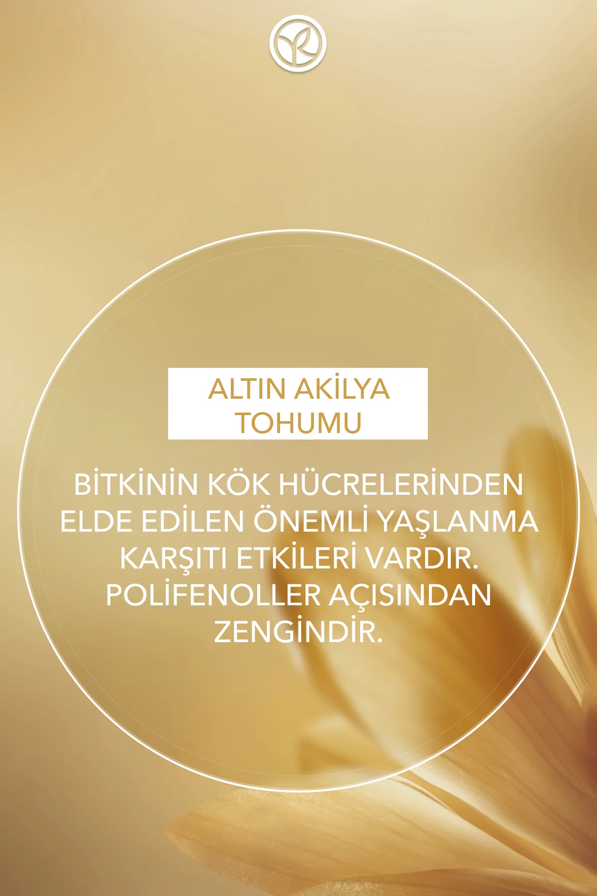 Yenileyici Yaşlanma Karşıtı Bitkisel Kök Hücre Bakımı Anti-age Gl