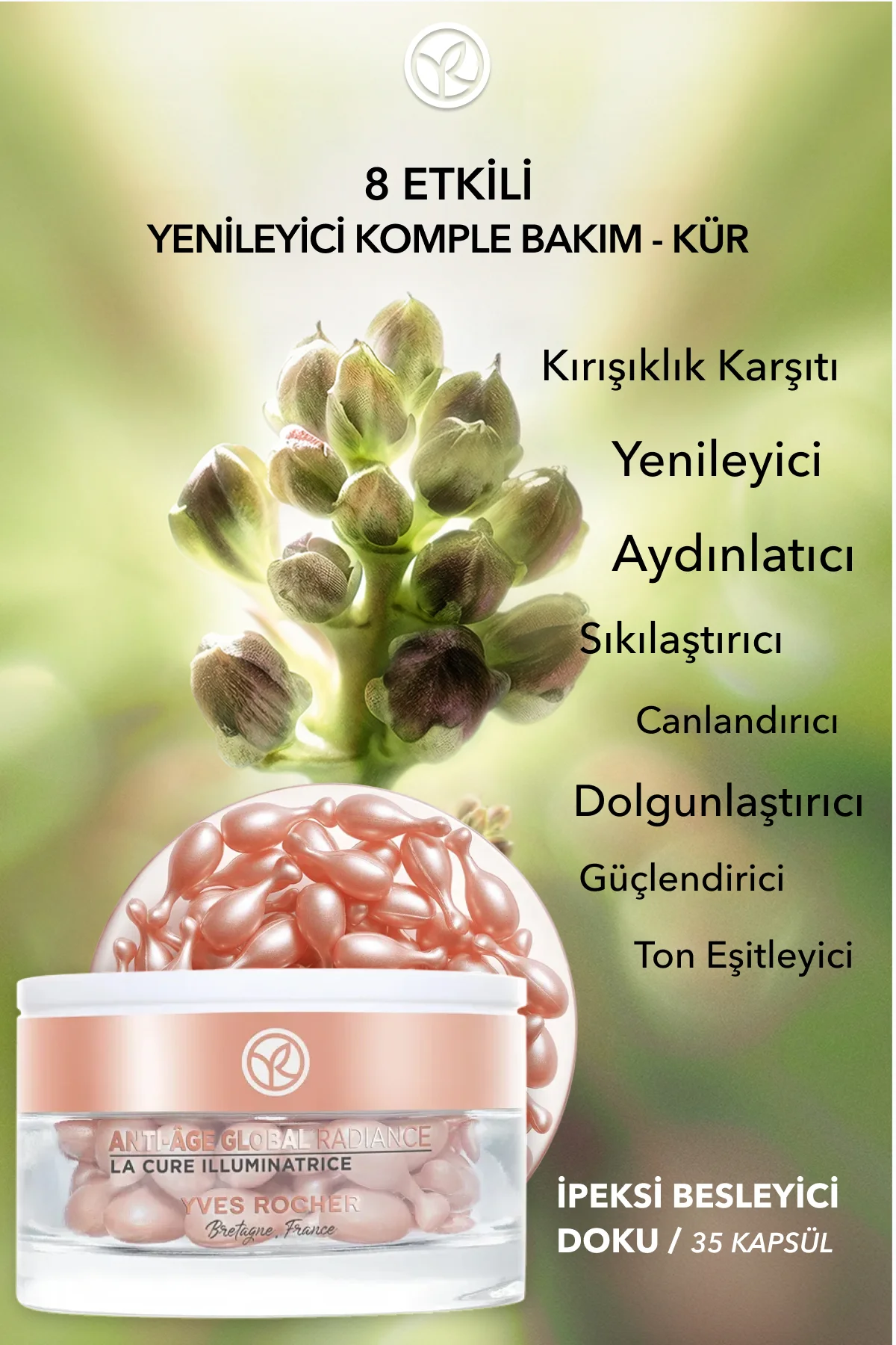 Yenileyici Yaşlanma Karşıtı Bitkisel Kök Hücre Bakımı Anti-Age Gl