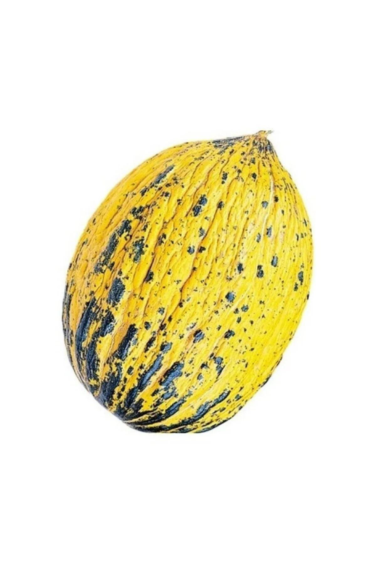 Yerli Kavun Tohumu 100 Adet Tohum Aksaray Tohumculuk