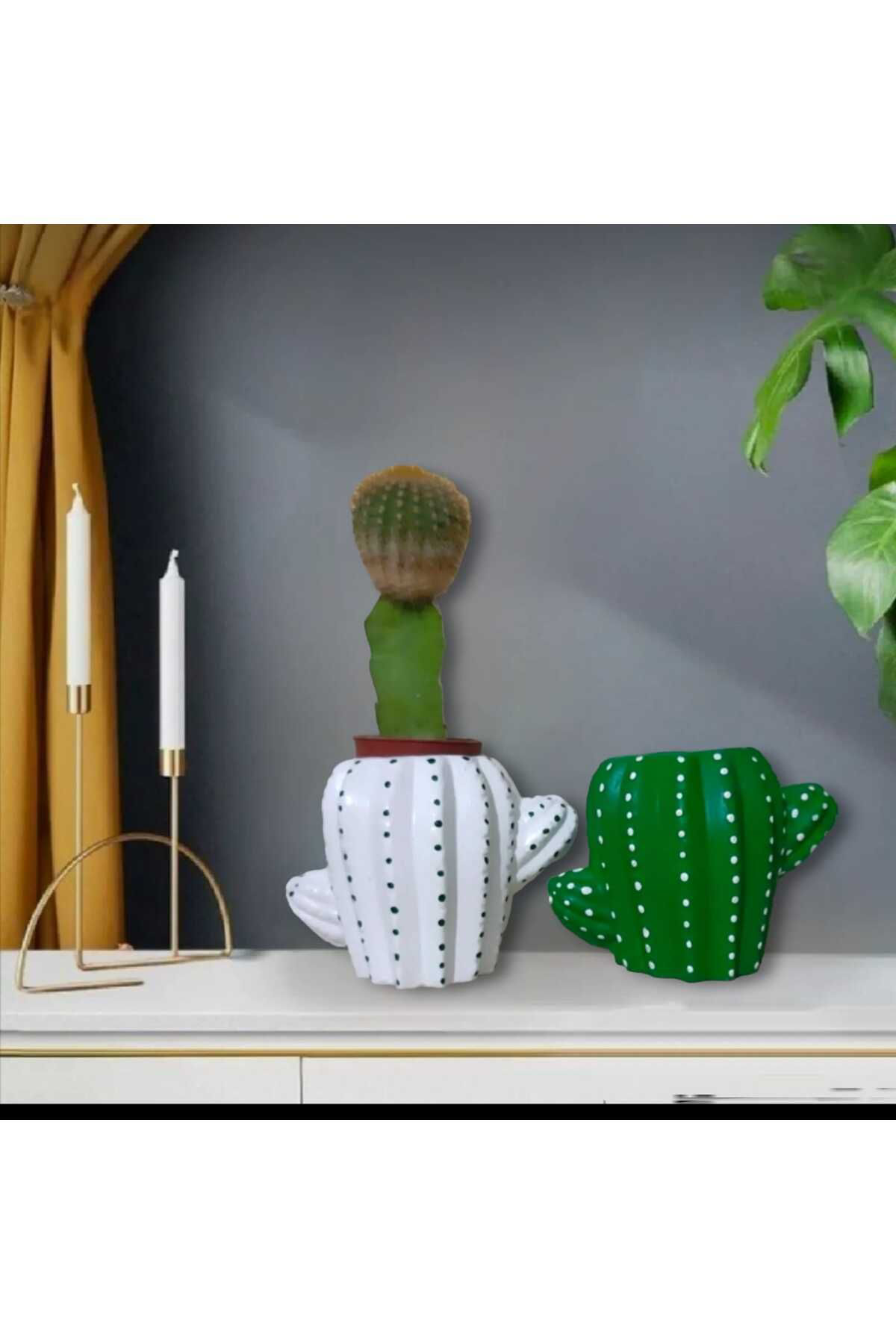 Dodemert Home Yeşil-Beyaz Kaktüs Beton Saksı & Mumluk Dekoratif 2 Li