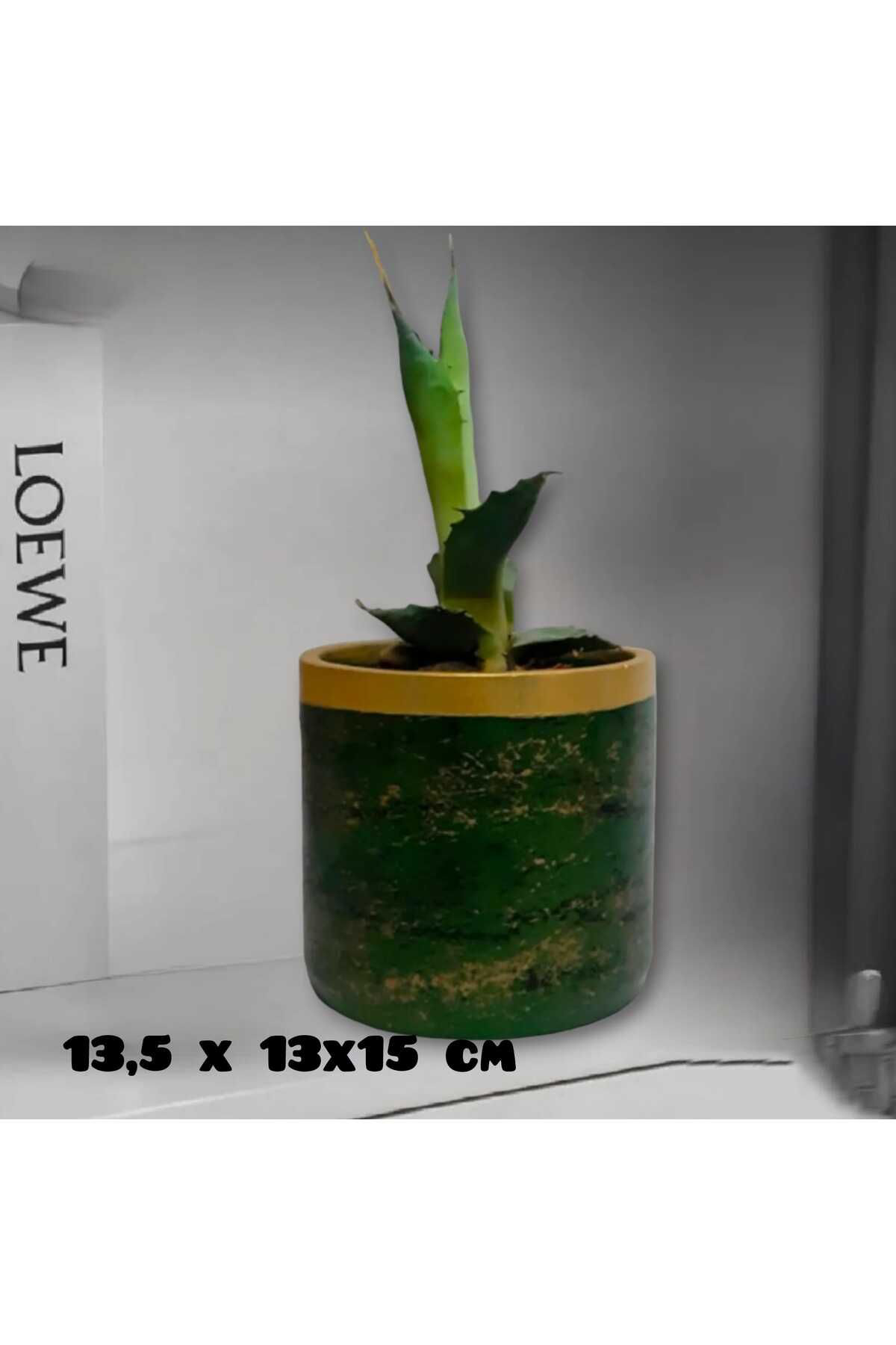 Dodemert Home Yeşil Efektli Altın Tasarım Beton Saksı