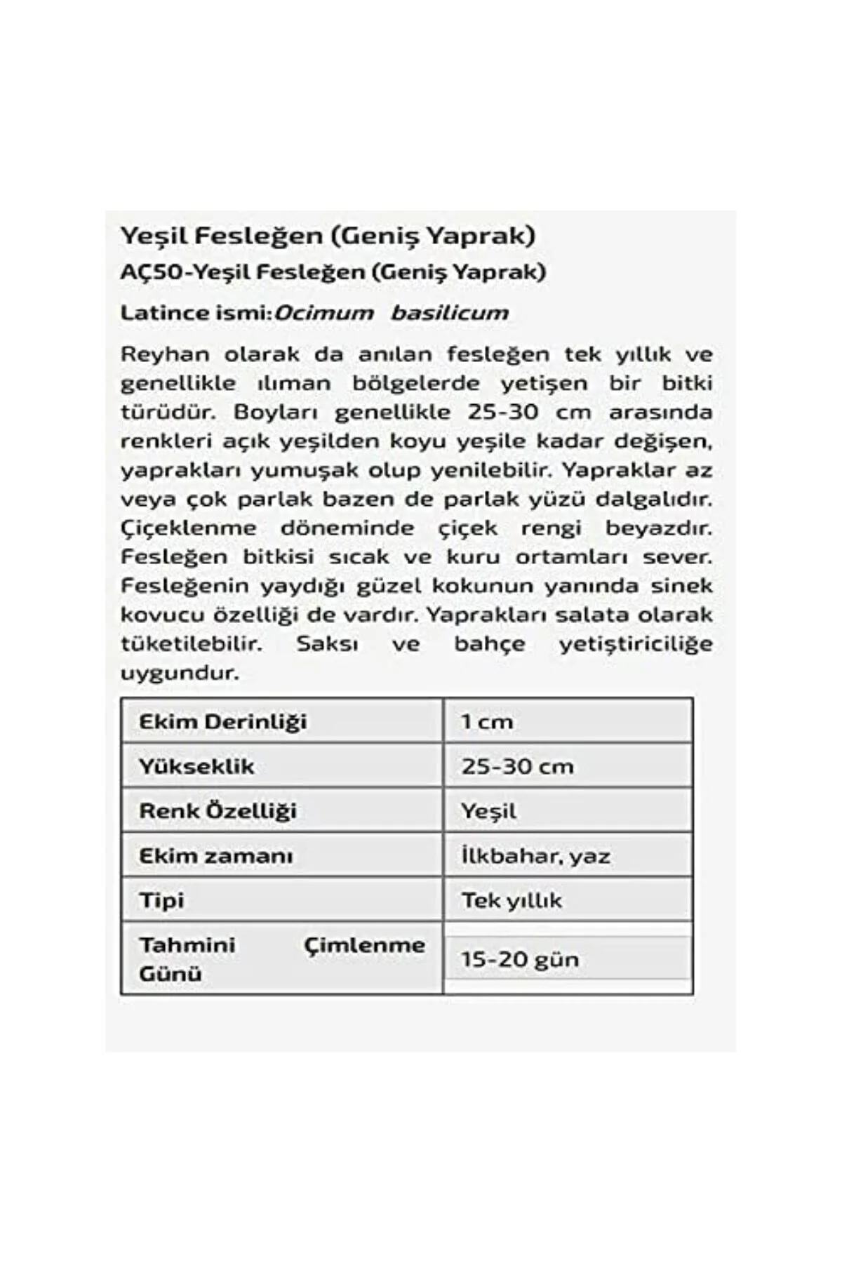 Yeşil Fesleğen Geniş Yaprak Çiçeği Tohumu 1000 Adet Tohum