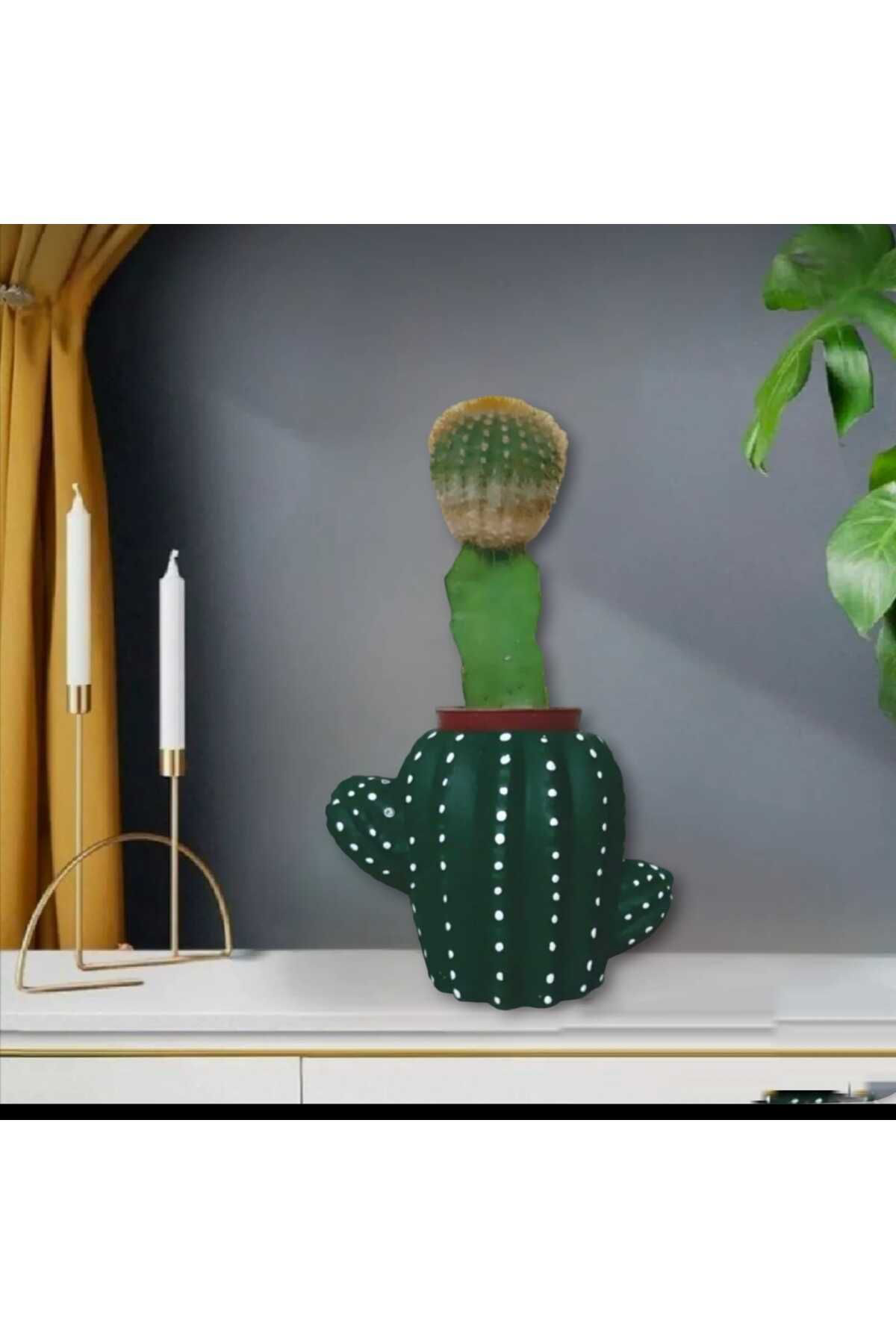 Dodemert Home Yeşil Kaktüs Beton Saksı & Mumluk Dekoratif