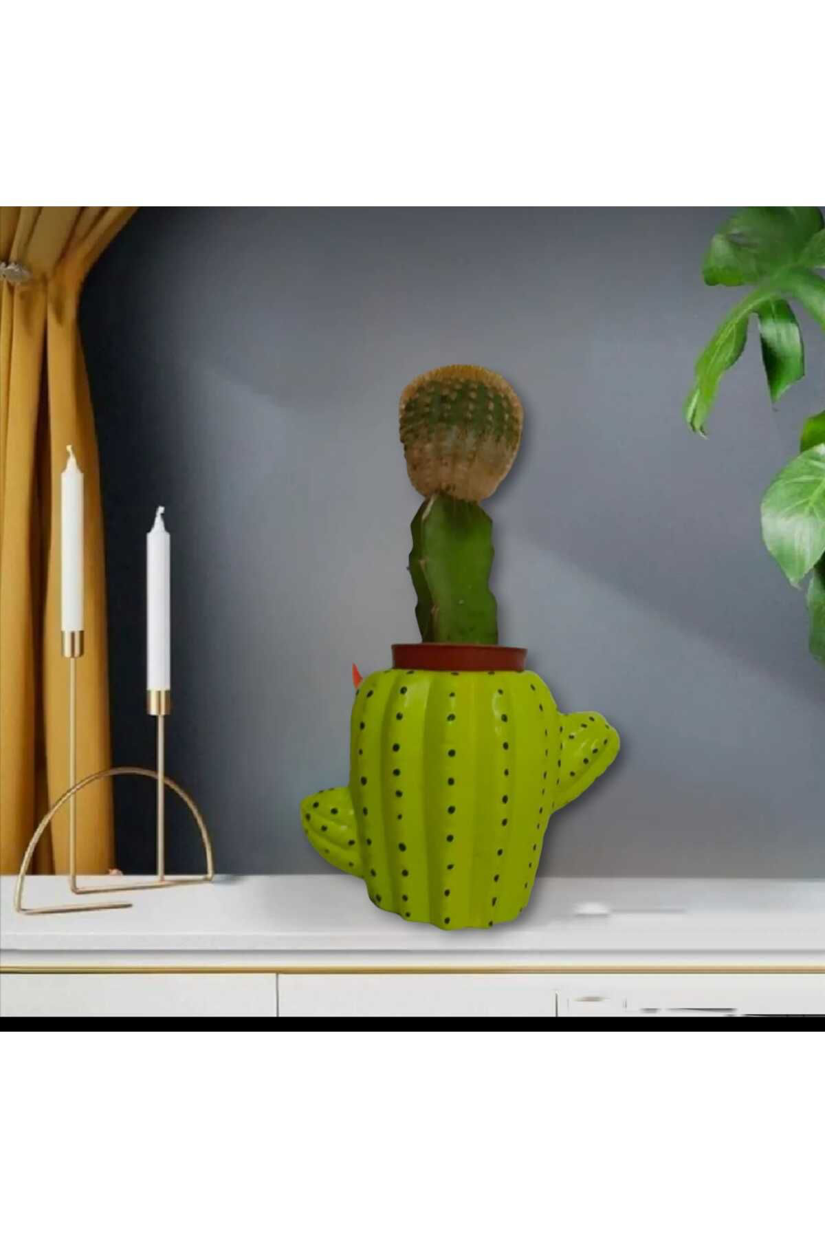 Dodemert Home Yeşil Kaktüs Beton Saksı & Mumluk Dekoratif