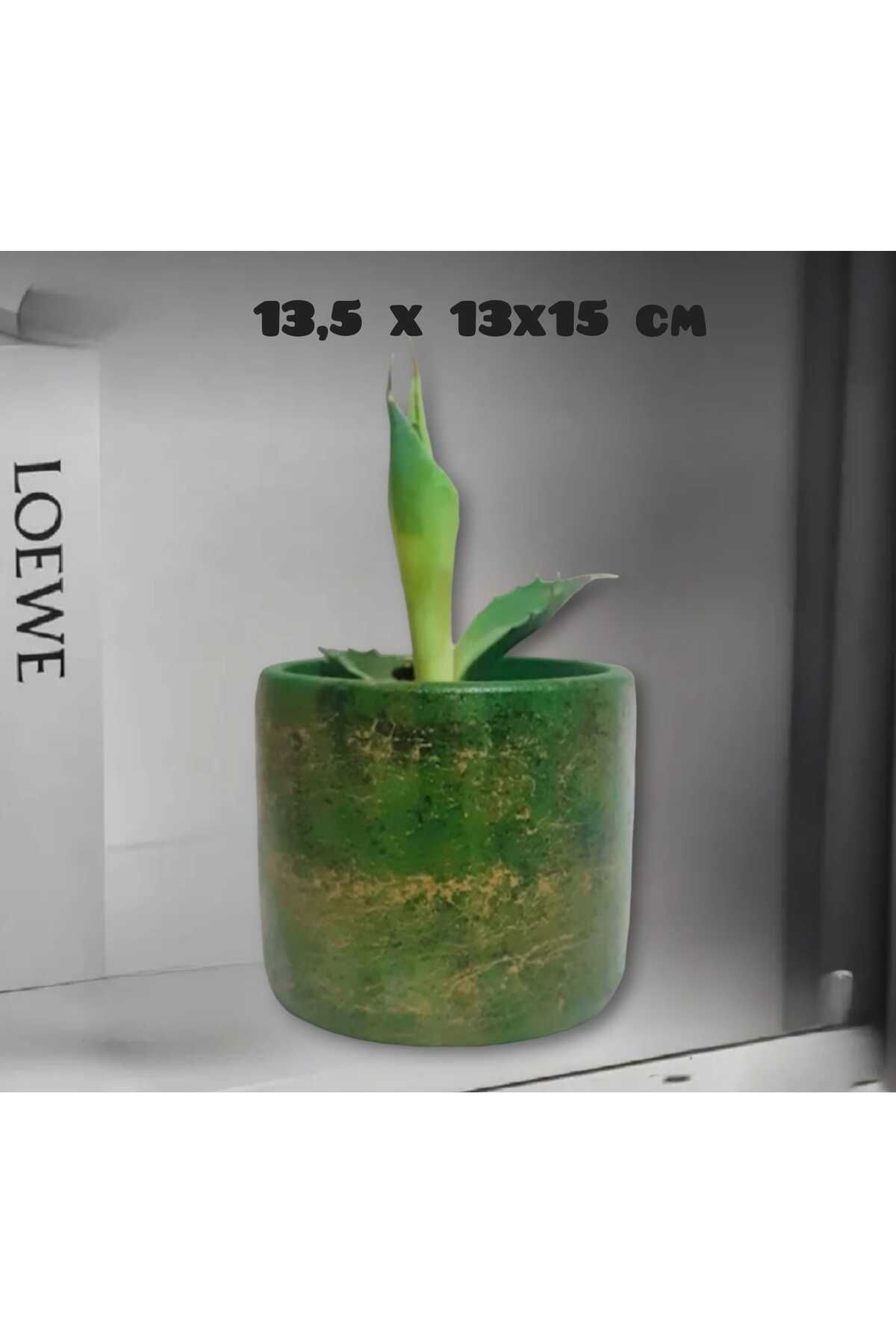 Yeşil Tasarım Beton Saksı