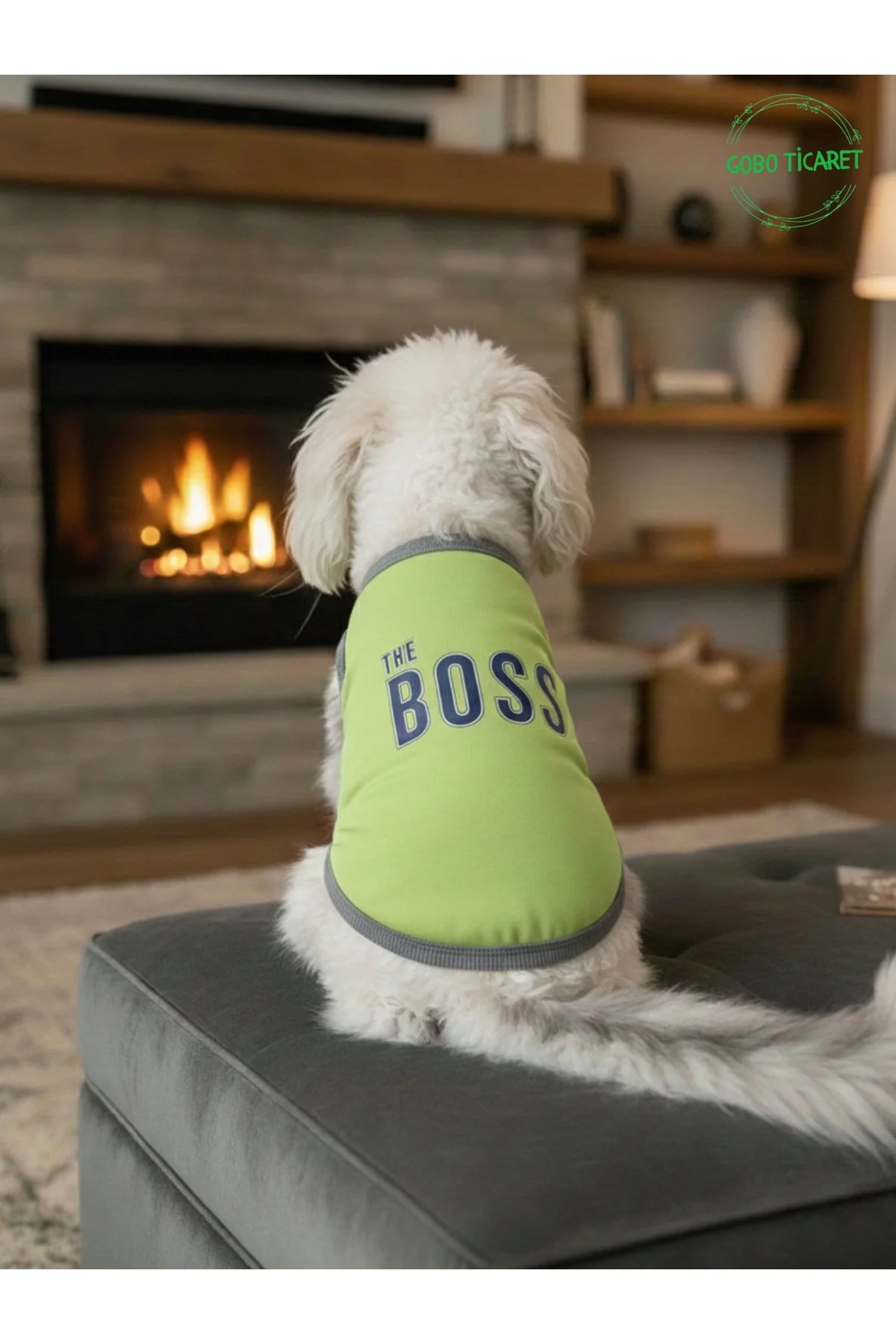 Yeşil The Boss (Patron) Yazılı Kedi ve Köpek Kıyafeti Tişörtü Elb