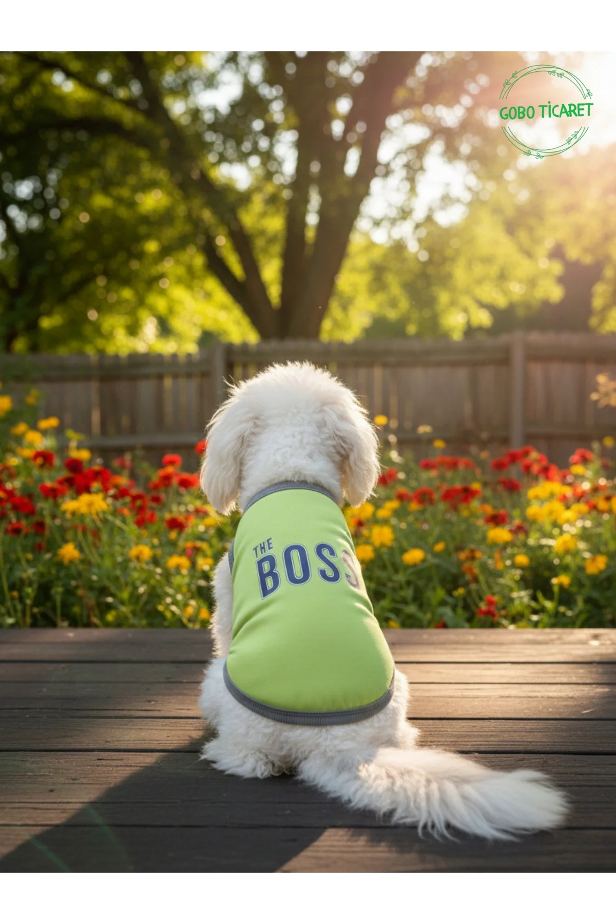 Yeşil The Boss (Patron) Yazılı Kedi ve Köpek Kıyafeti Tişörtü Elb