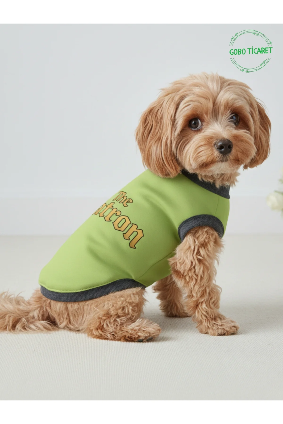 Yeşil The Patron Yazılı Kedi ve Köpek Kıyafeti Tişörtü Elbisesi S