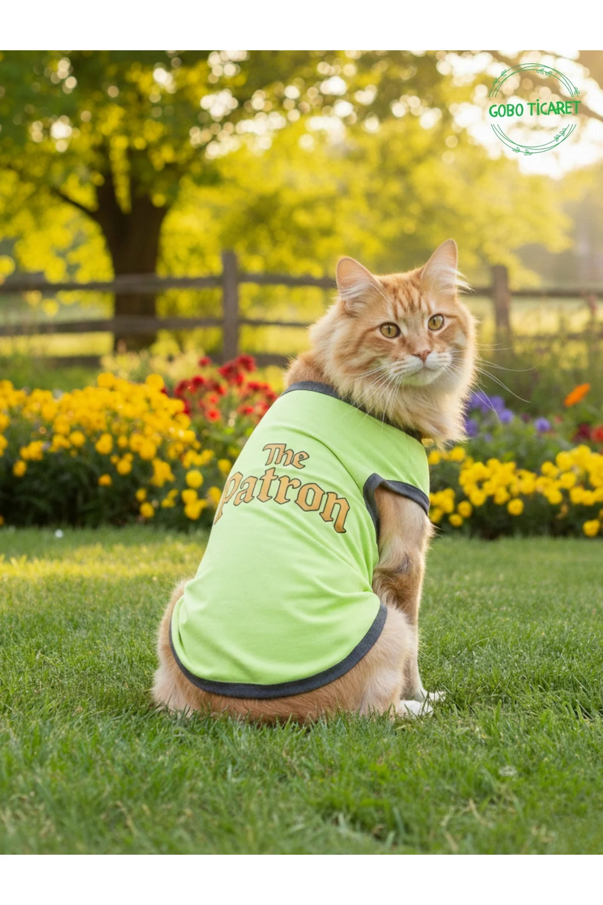 Yeşil The Patron Yazılı Kedi ve Köpek Kıyafeti Tişörtü Elbisesi L