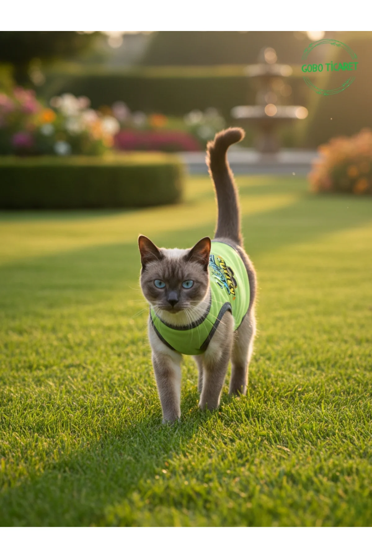 Yeşil Yürüyen Karizma Yazılı Kedi ve Köpek Kıyafeti Tişörtü Elbis