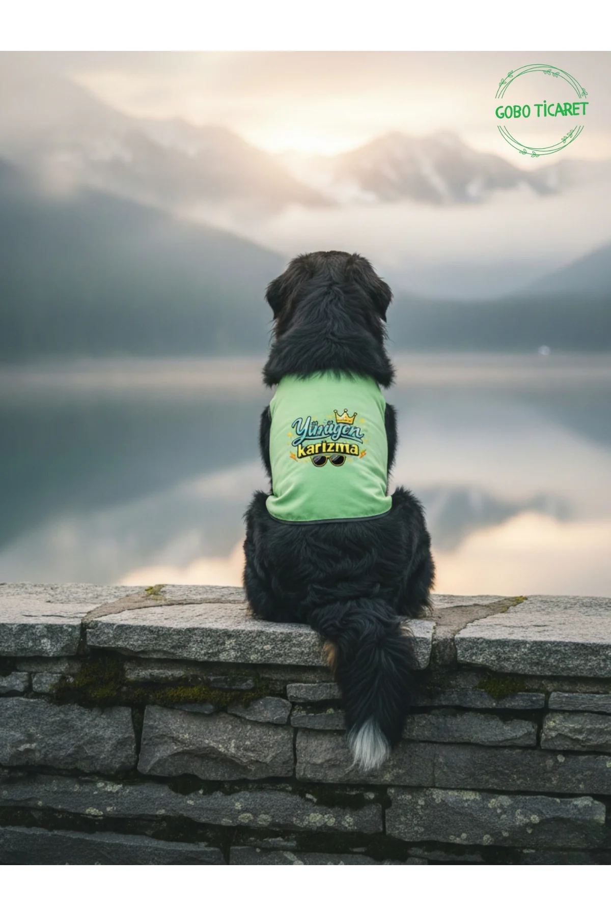 Yeşil Yürüyen Karizma Yazılı Kedi ve Köpek Kıyafeti Tişörtü Elbis