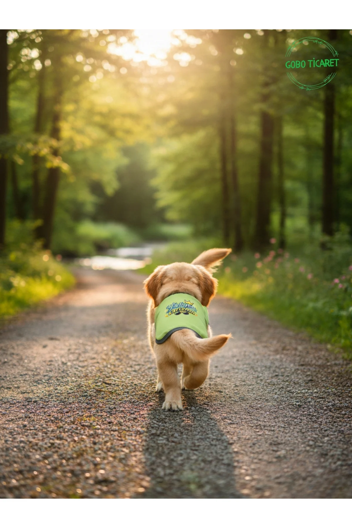 Yeşil Yürüyen Karizma Yazılı Kedi ve Köpek Kıyafeti Tişörtü Elbis