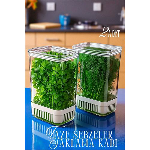 Yeşillik Saklama Kabı - Taze Yeşillik İçin - Soğan Maydanoz vb Ye