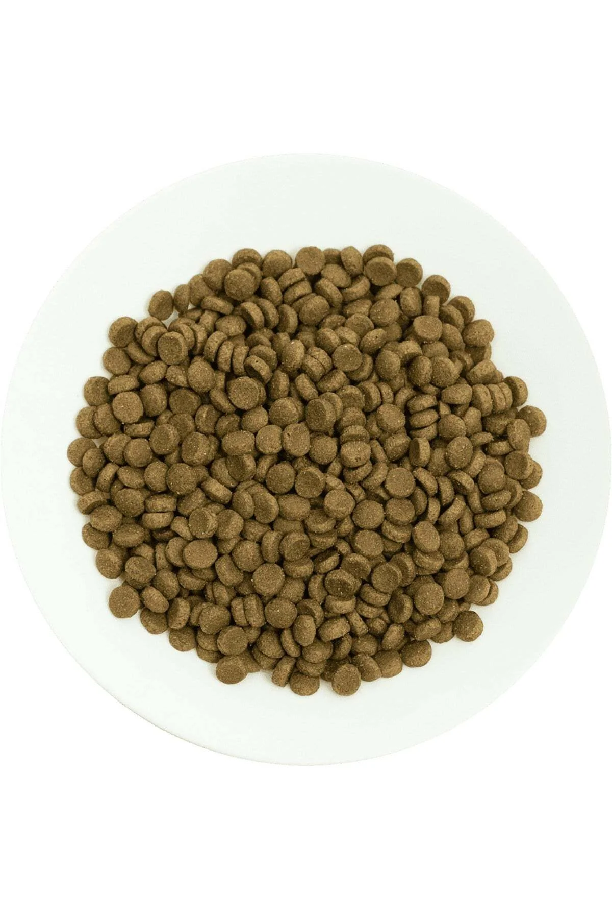 Yetişkin Kediler İçin, Hipoalerjenik, Kuzu Etli Ve Pirinçli Kuru Mama 15 kg Yetişkin Kediler İçin, Hipoalerjenik, Kuzu Etli Ve Pirinçli Kuru Mama 15 kg - Görsel 3