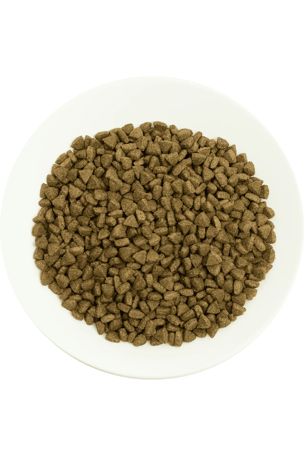Yetişkin Kediler İçin, Hipoalerjenik, Somon Balıklı Ve Pirinçli Kuru Mama 2 kg Yetişkin Kediler İçin, Hipoalerjenik, Somon Balıklı Ve Pirinçli Kuru Mama 2 kg - Görsel 3