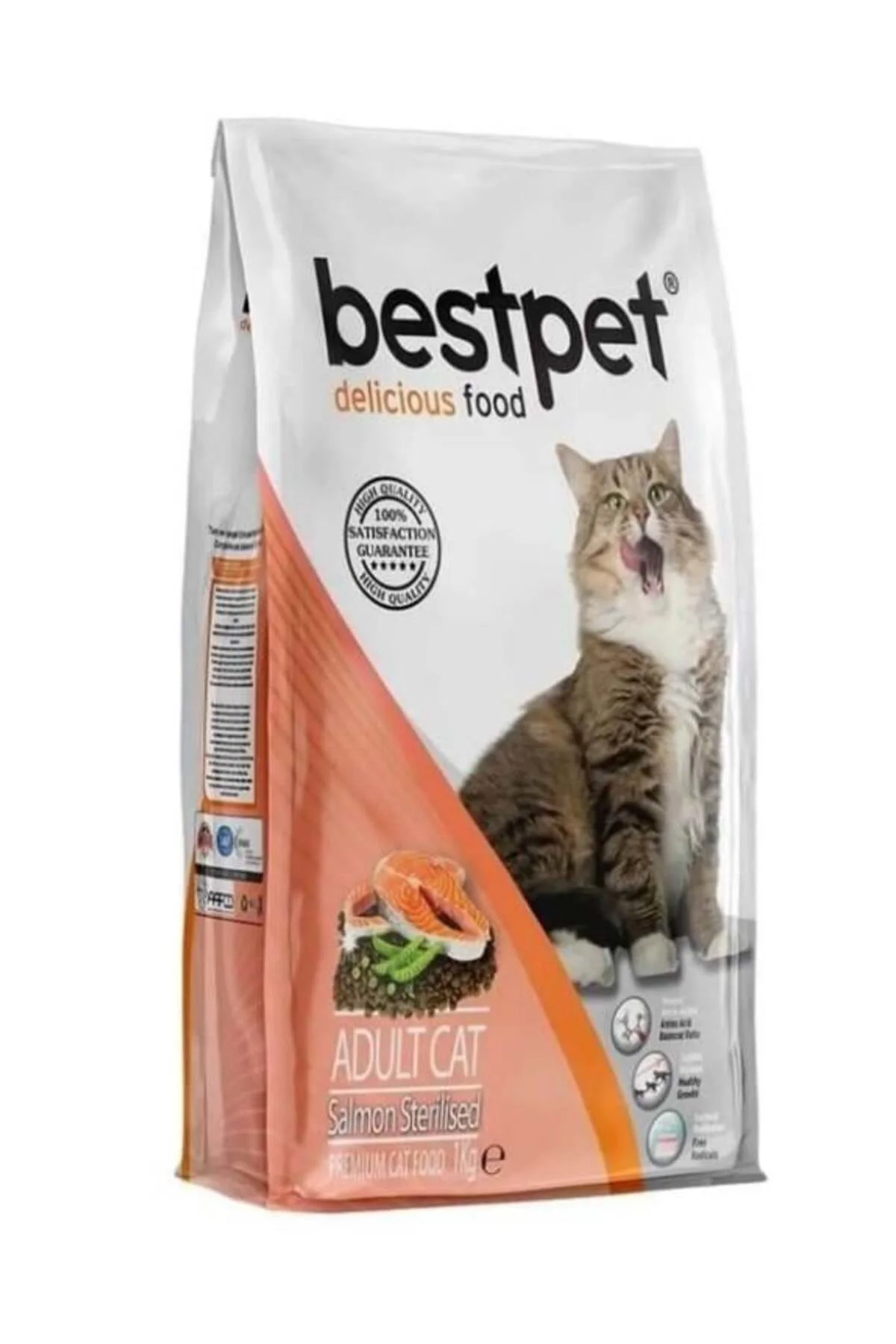 Yetişkin Kısırlaştırılmış Kediler Için Somonlu Kuru Mama 1 Kg