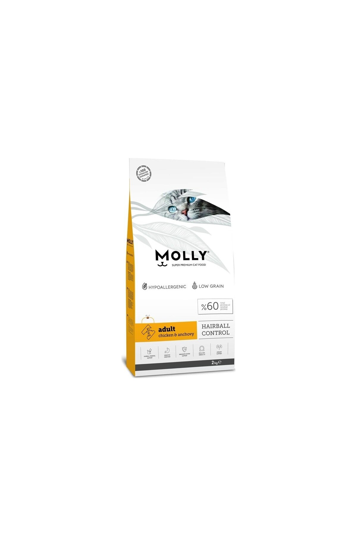Molly Yetişkin Tavuklu Kuru Kedi Maması 2Kg