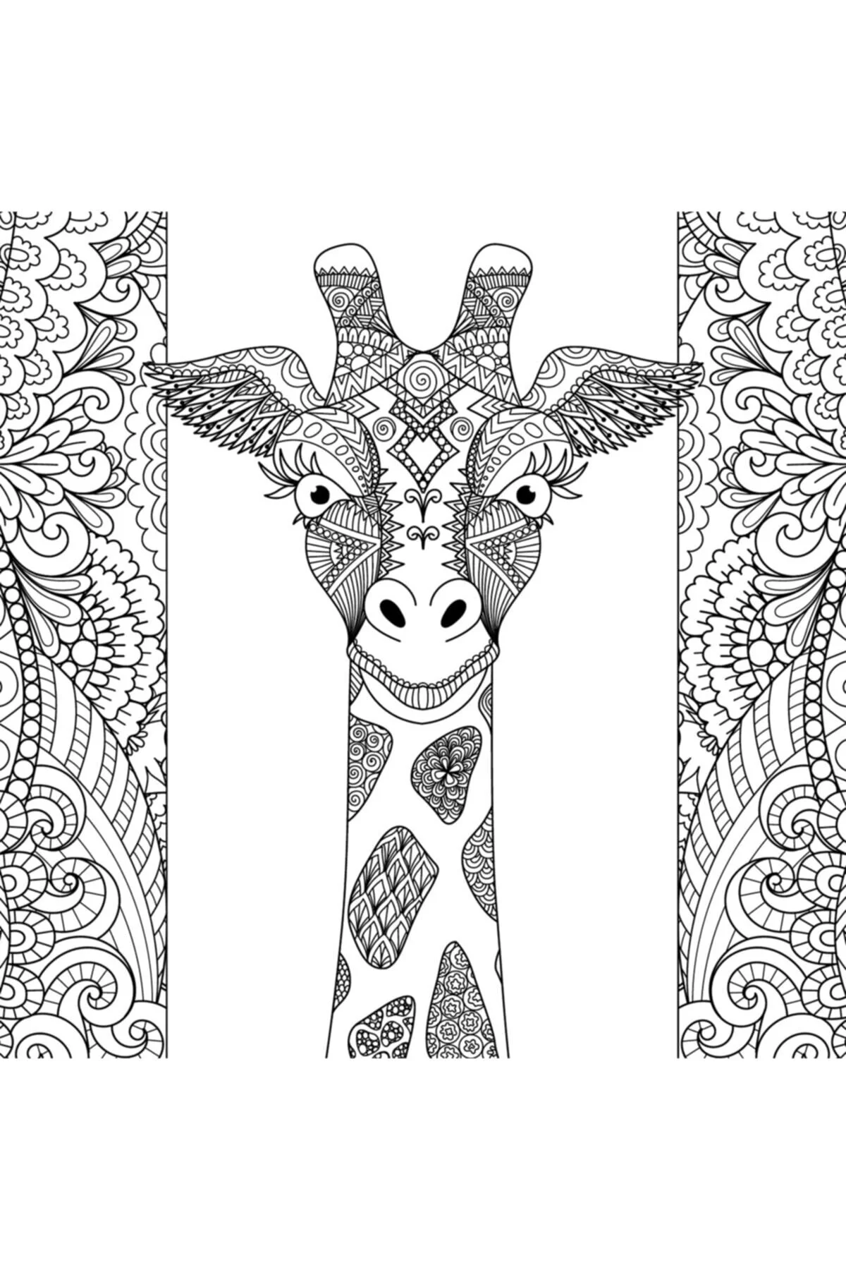 Yetişkinler Için 2 Adet Hayvanlar Ve Desenler Mandala Kitabı Fiyatı, Yorumları ve Özellikleri