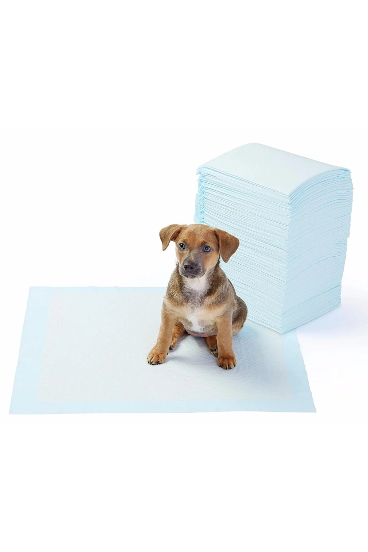 Yıkanabilir Köpek Çiş Pedi - 90 X 60 Cm Yıkanabilir Köpek Çiş Pedi - 90 X 60 Cm - Görsel 3