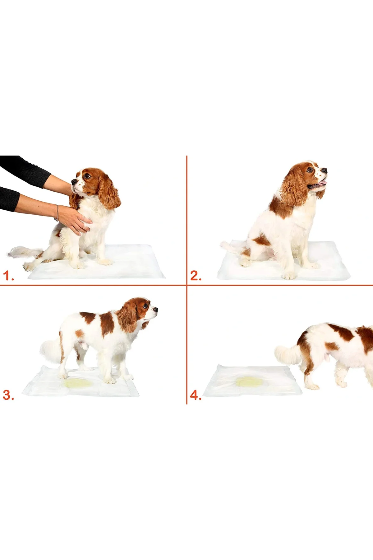 Yıkanabilir Köpek Çiş Pedi - 90 X 60 Cm Yıkanabilir Köpek Çiş Pedi - 90 X 60 Cm - Görsel 2
