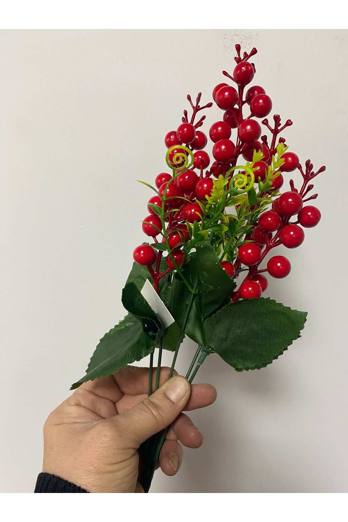 Yılbaşı Çiçeği Kokina 38CM