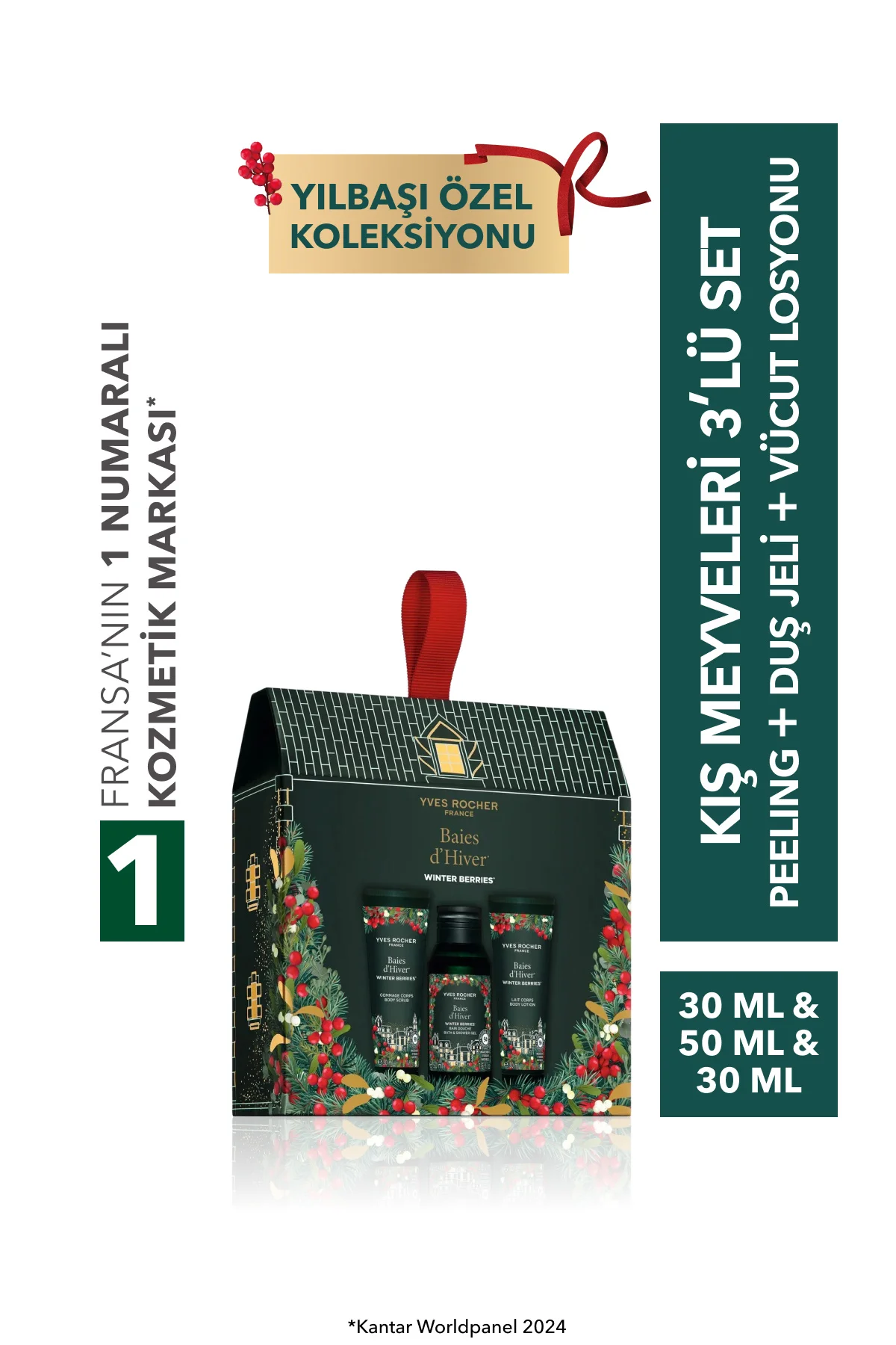 Yılbaşı Kış Meyveleri 3'lü Set-68646