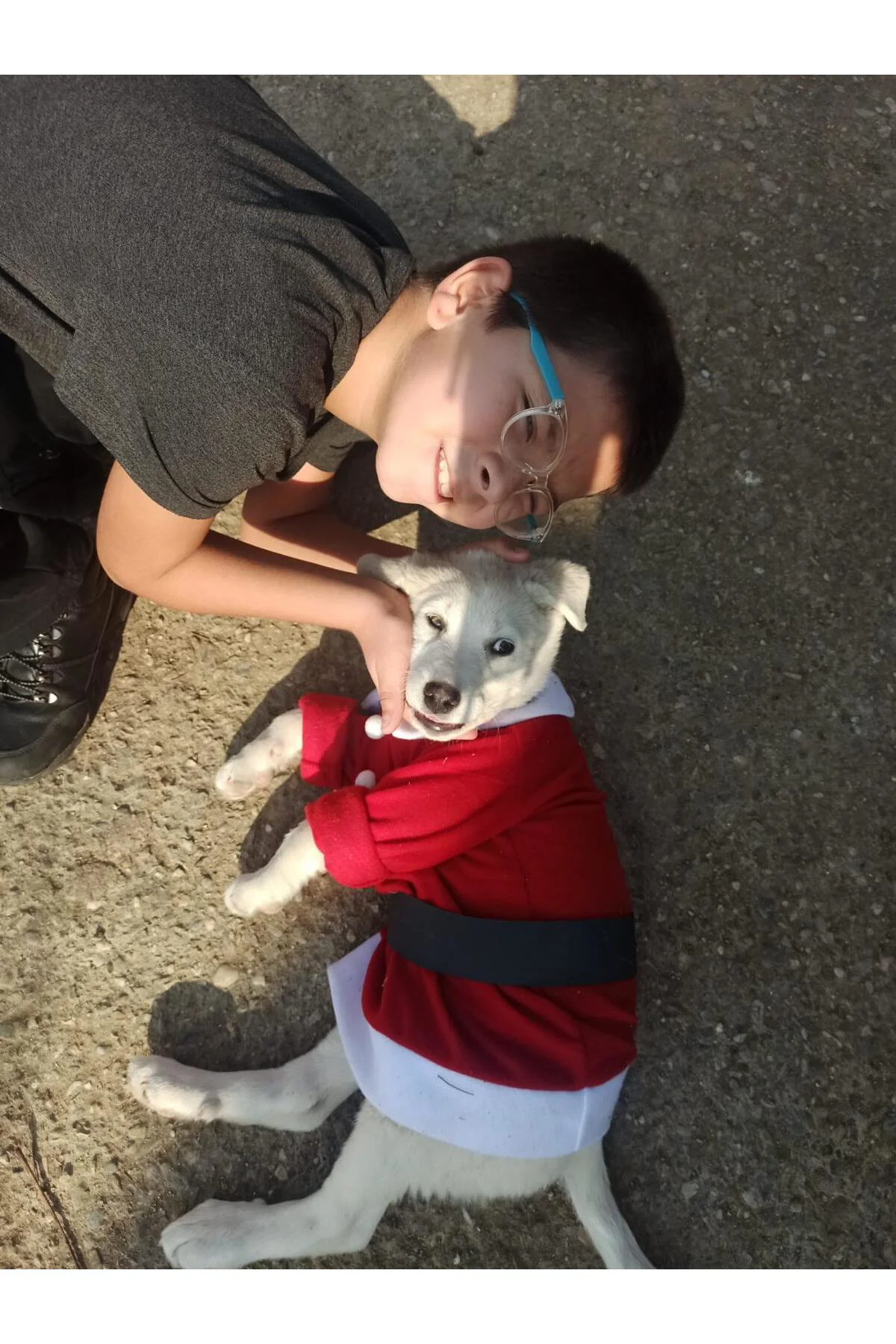 Yılbaşı Noel Kıyafeti - Kedi Ve Köpekler Için