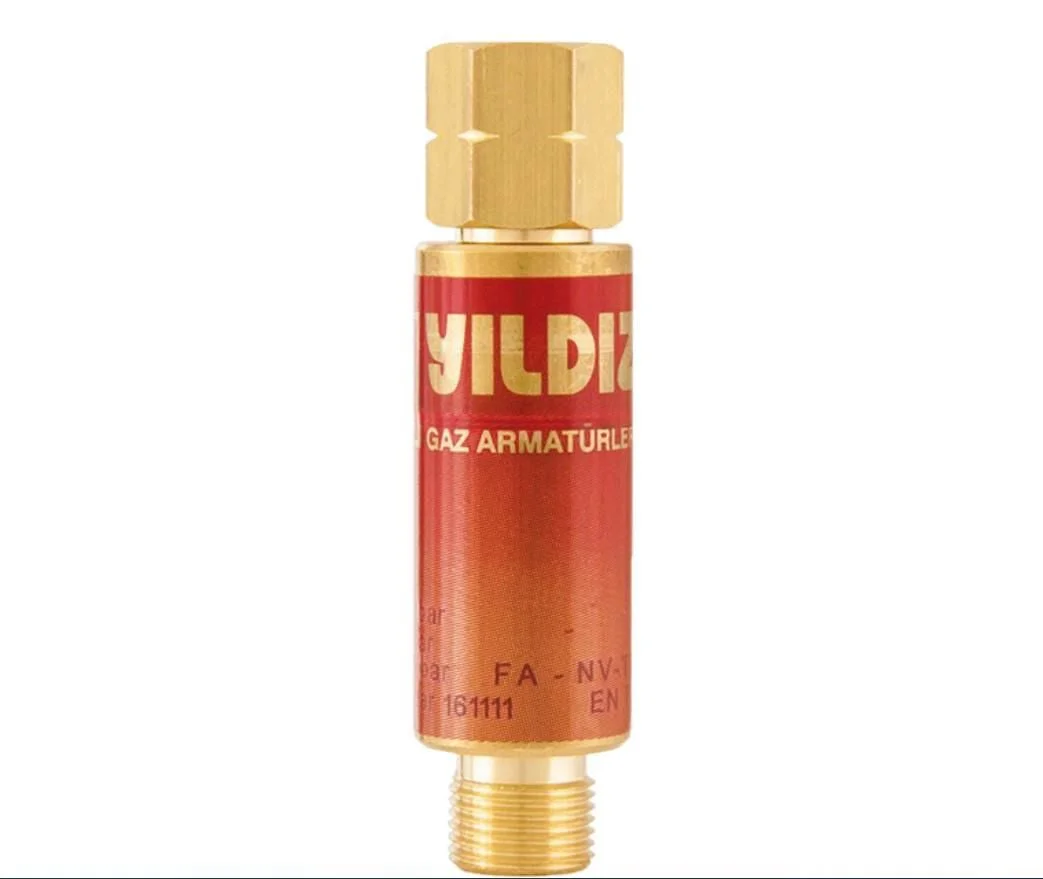 Yıldız 1130 Alev Emniyet Valfi Basınç Düşürücü İçin Yanıcı Gaz