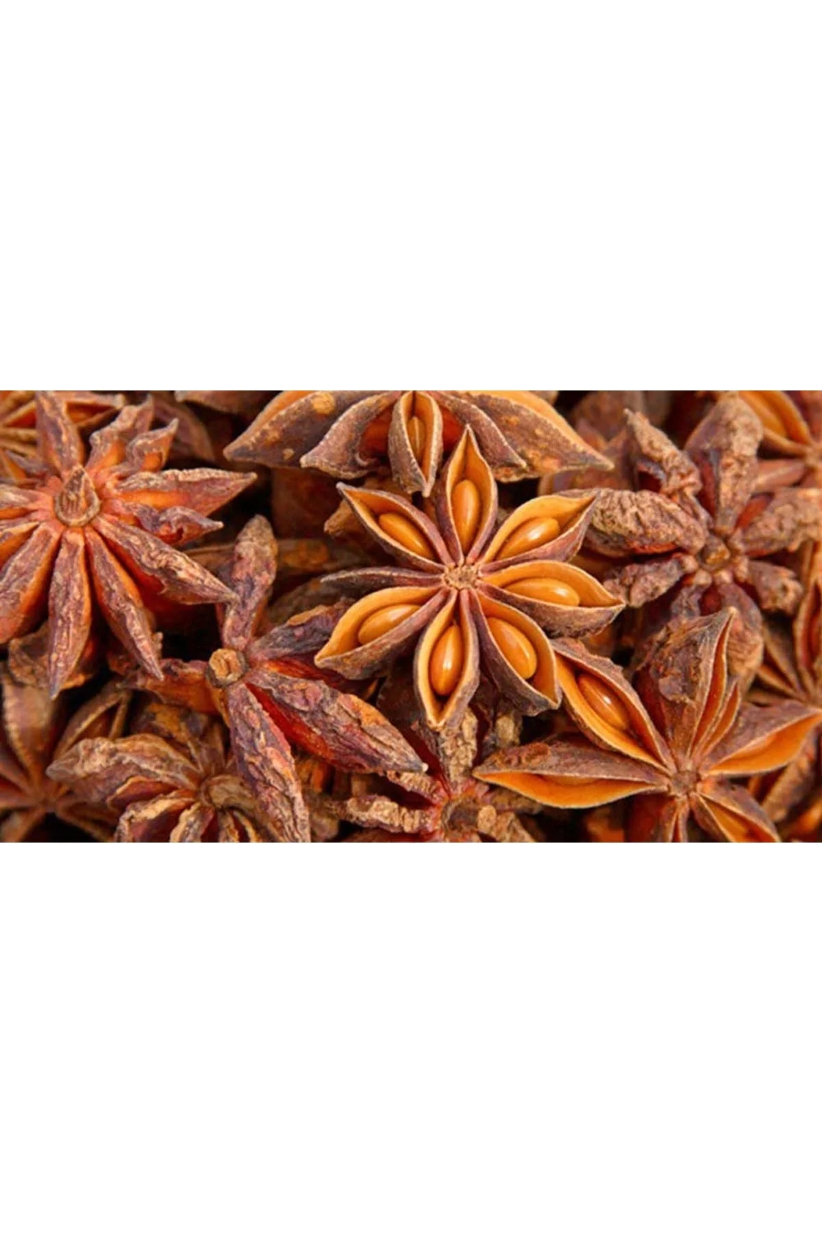 Yıldız Anason 50 Gr Yıldız Anason 50 Gr