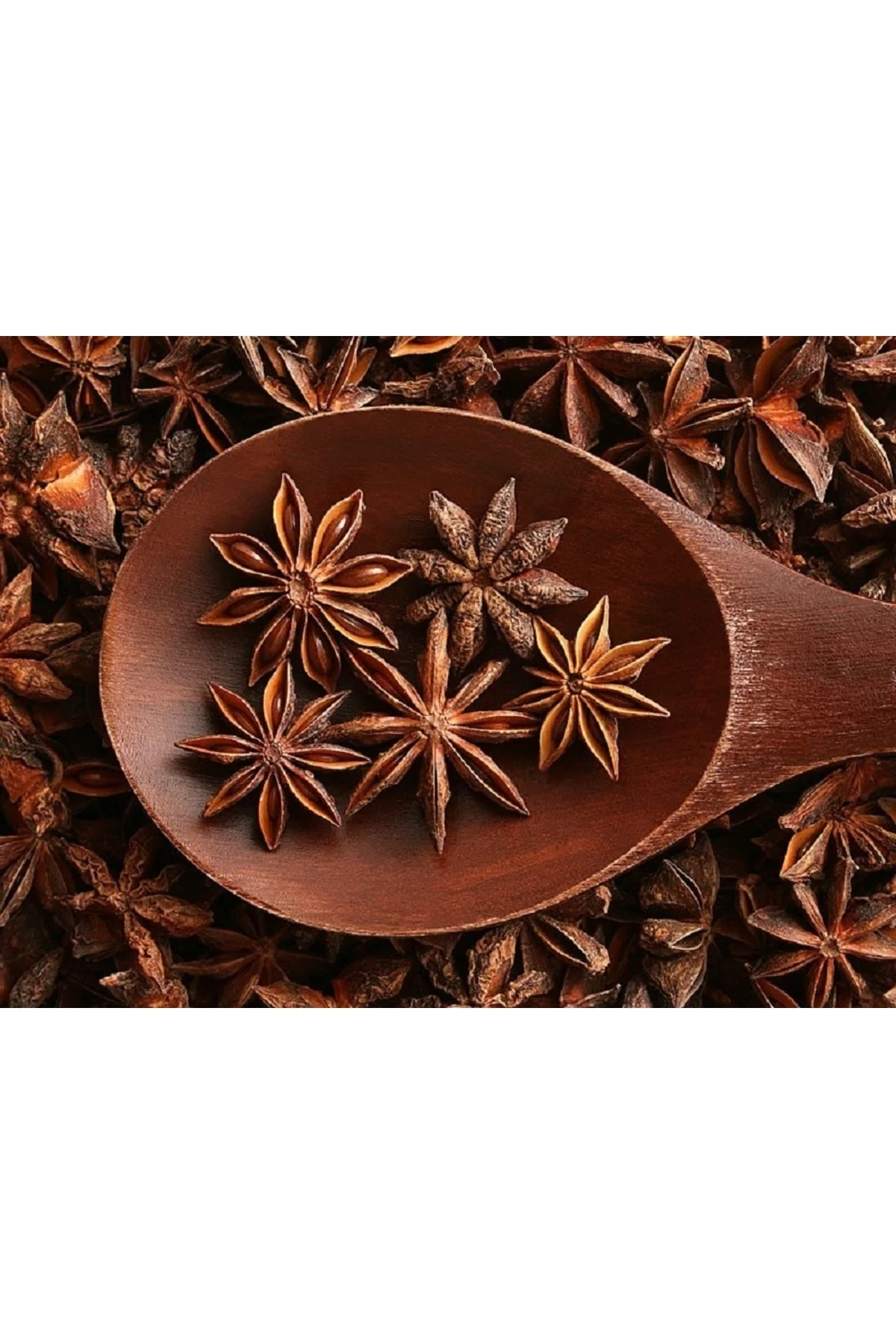 Yıldız Anason 50 Gr Yıldız Anason 50 Gr