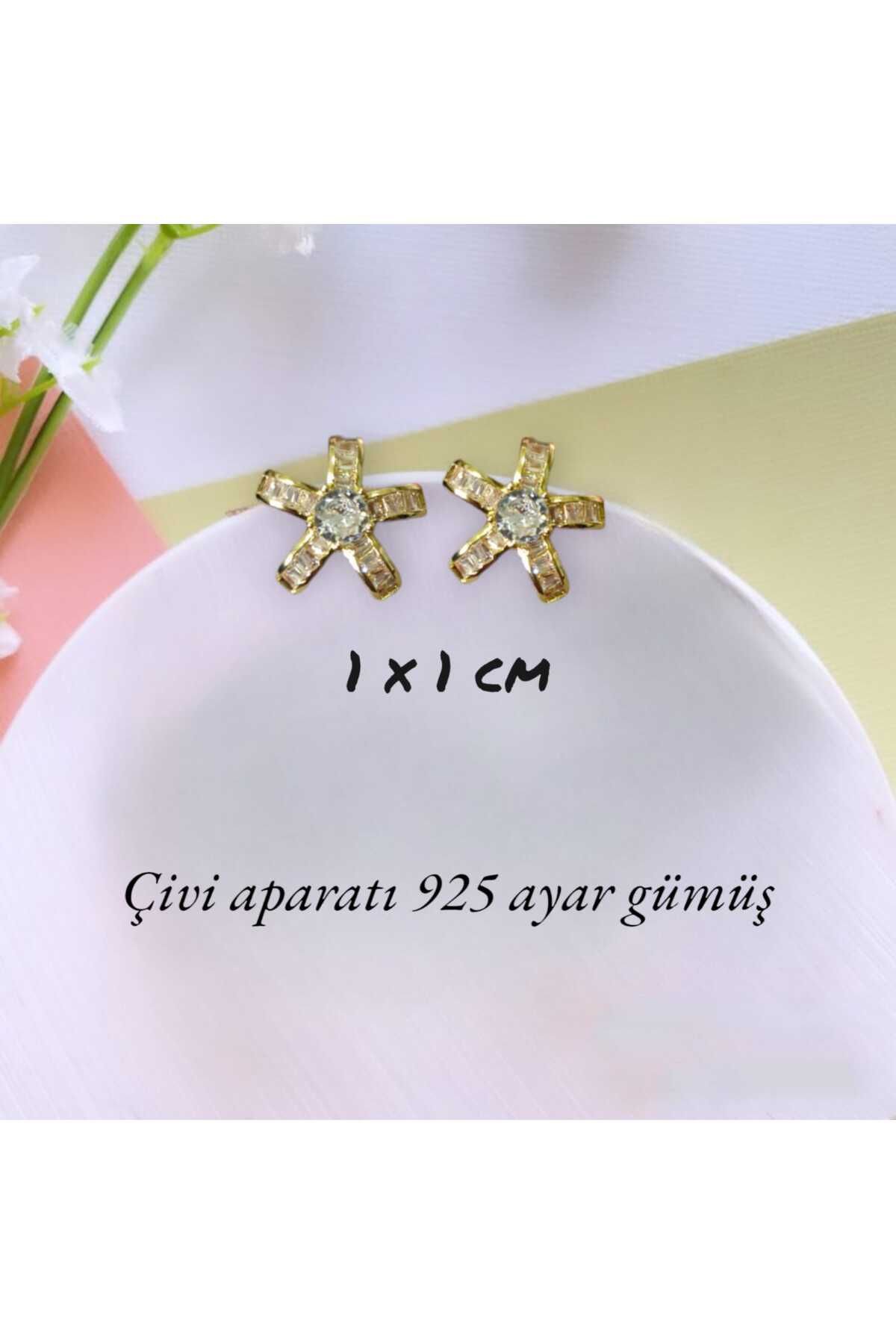 Dodemert Home Yildiz Gold 925 Ayar Gümüş Zirkon Taşli Küpe