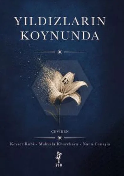Yıldızların Koynunda Fiyatı, Yorumları ve Özellikleri