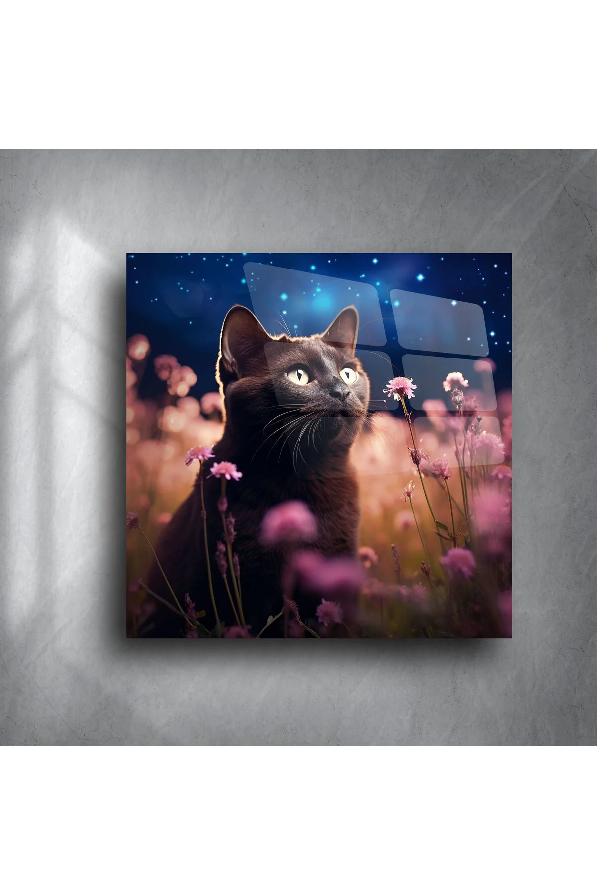 Yıldızlı Gece ve Çiçekler Arasında Siyah Kedi Cam Tablo Yıldızlı Gece ve Çiçekler Arasında Siyah Kedi Cam Tablo