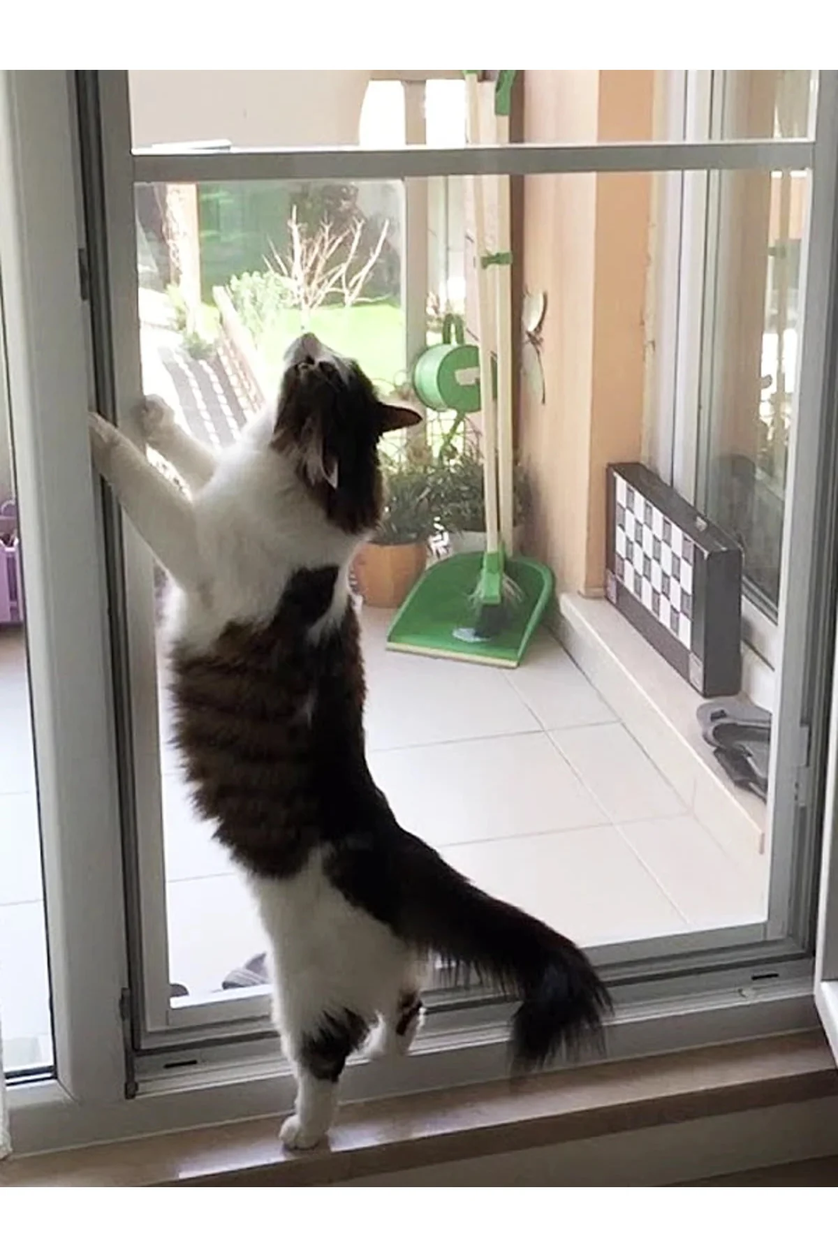 Yırtılmaz Kedi Sineklik Tülü , Evcil Hayvan Tülü, Pet Tül (80x150 Ölçülerinde)