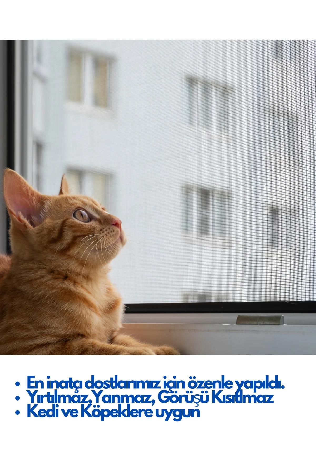 YIRTILMAZ SİNEKLİK KEDİ TELİ (PET TÜL) (EN: 120 CM - UZUNLUK: 100 CM) YIRTILMAZ SİNEKLİK KEDİ TELİ (PET TÜL) (EN: 120 CM - UZUNLUK: 100 CM)