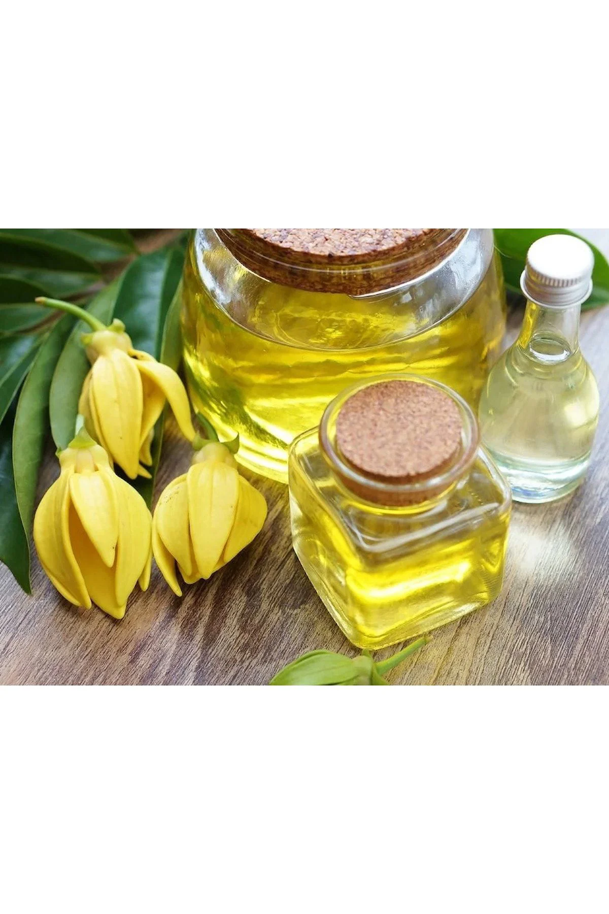 Ylang Ylang Yağı 20 ml Ylang Ylang Yağı 20 ml