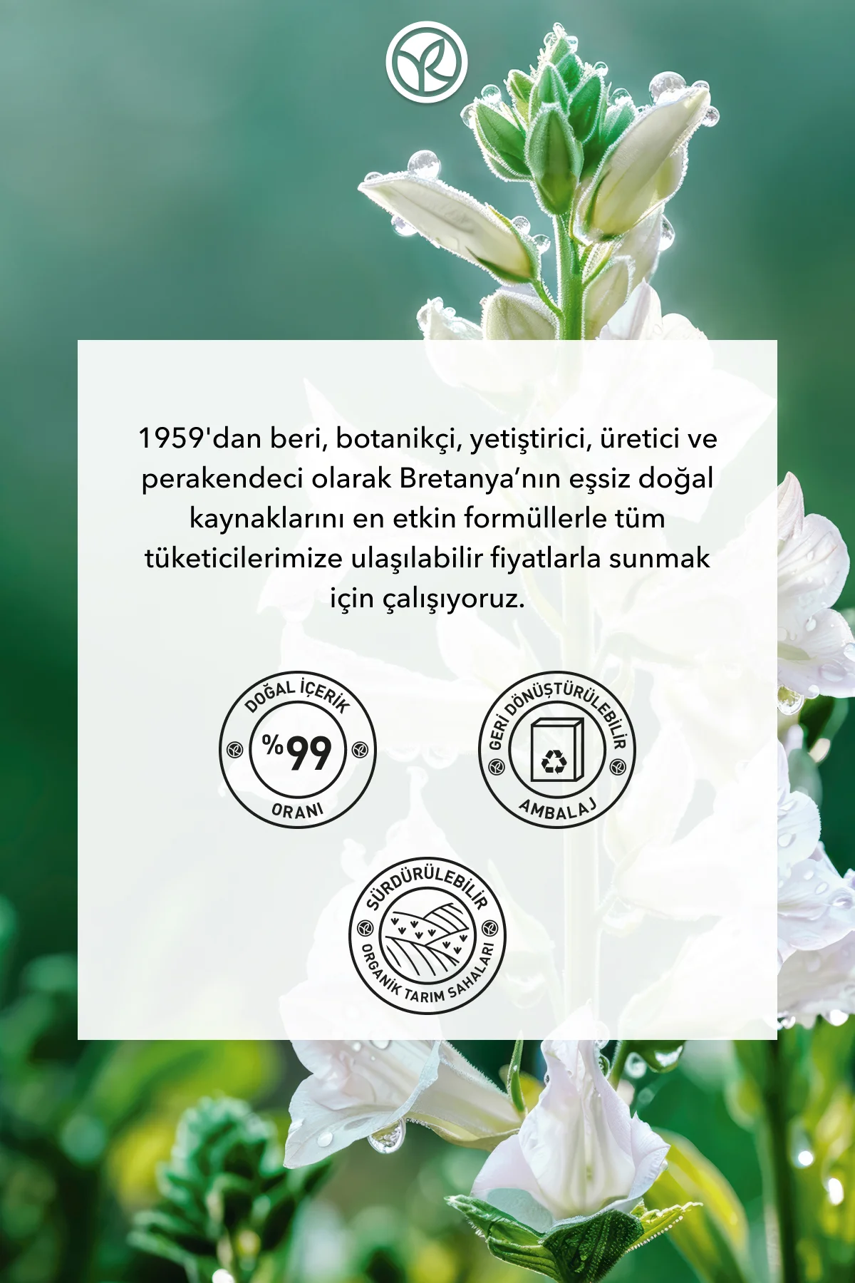 Yoğunlaştırıcı Arjinin Polifenol Saç Serumu-Saç Dökülmesine Karşı