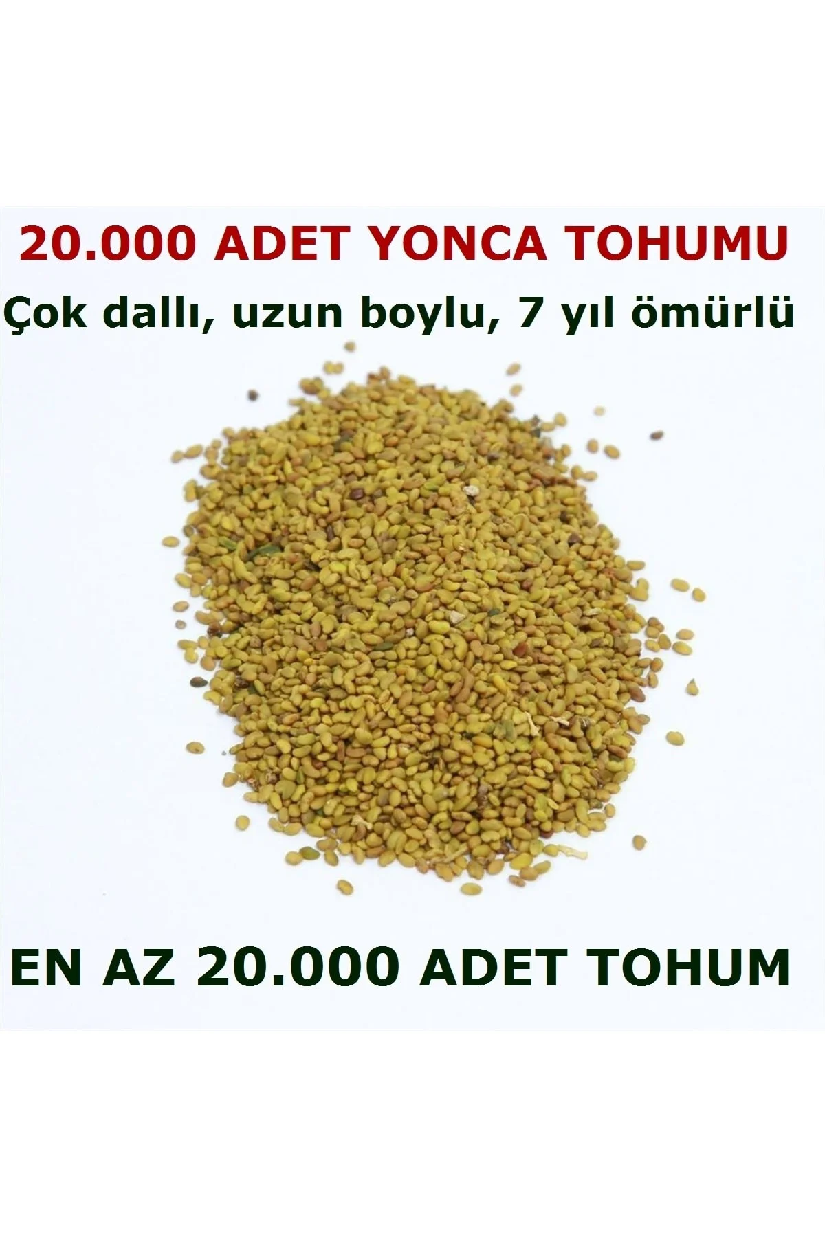 Yonca Tohumu 20.000 Adet + Hediye Üzüm Fidanı Tohumları
