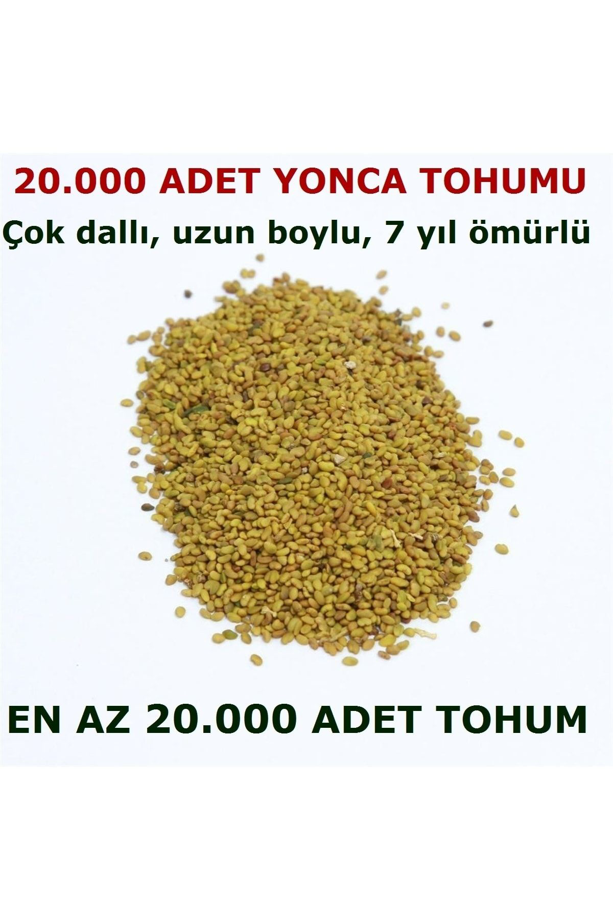 Tohumgübre Yonca Tohumu 20.000 Adet