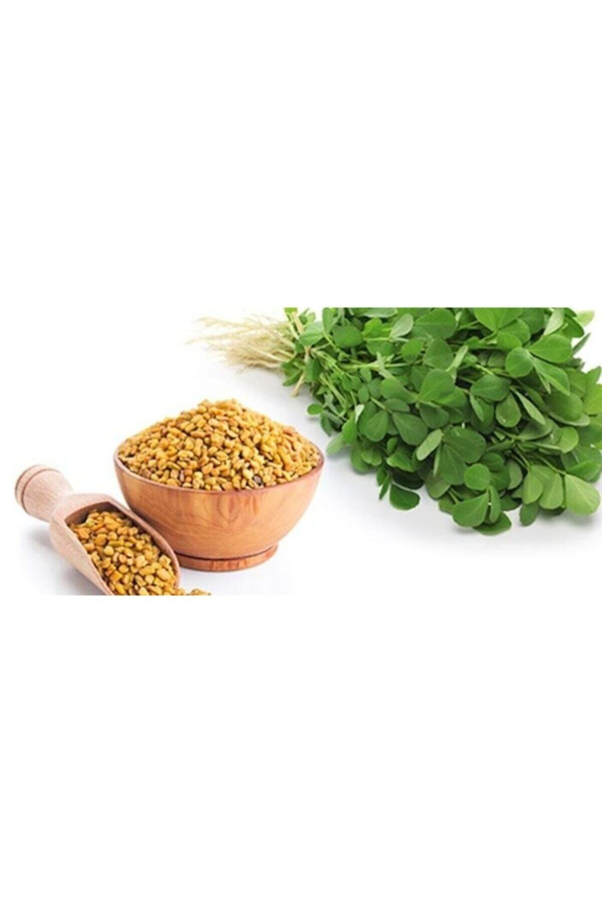 Tohumgübre Yonca Tohumu (20.000 Adet)