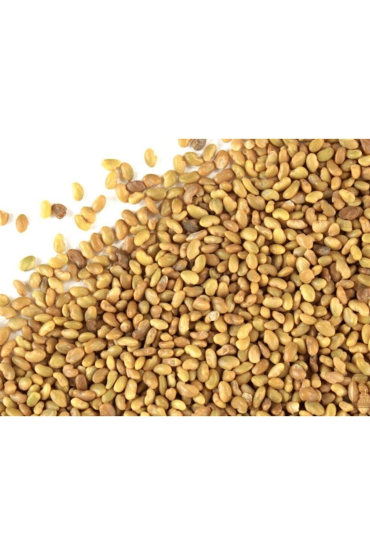 Tohumgübre Yonca Tohumu (20.000 Adet)